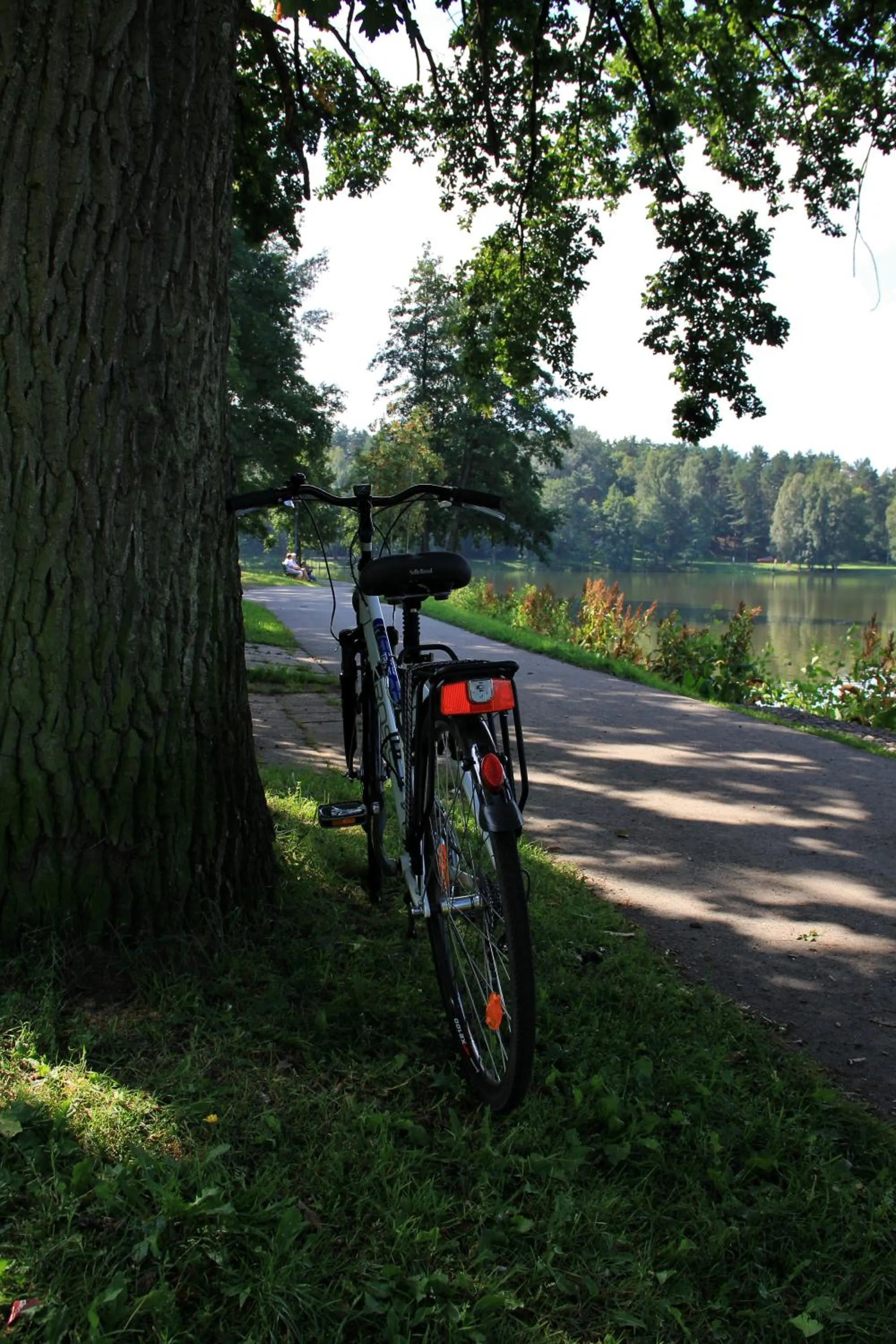 Cycling in Apartamentai Laima