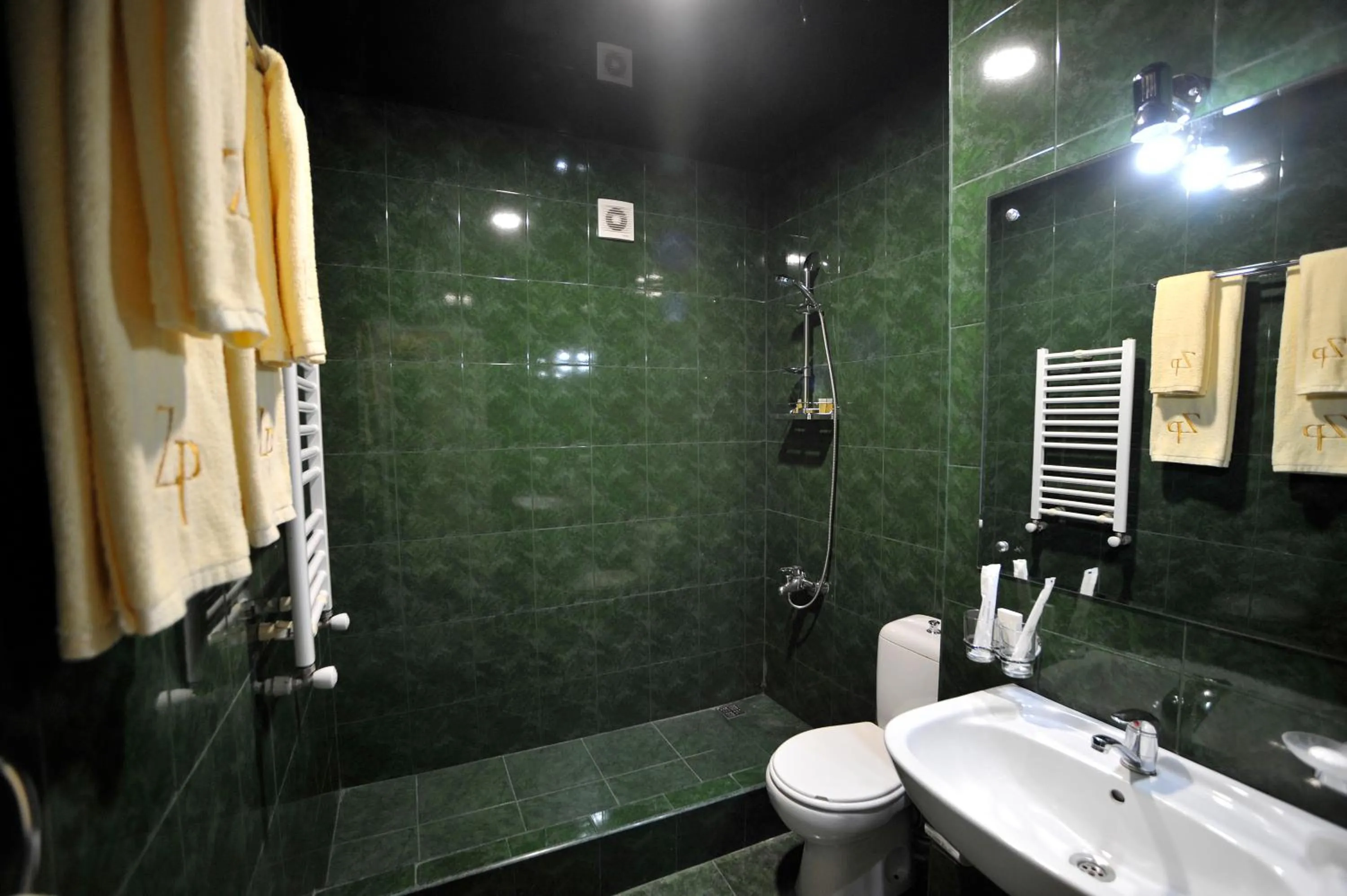 Bathroom in ZP Hotel