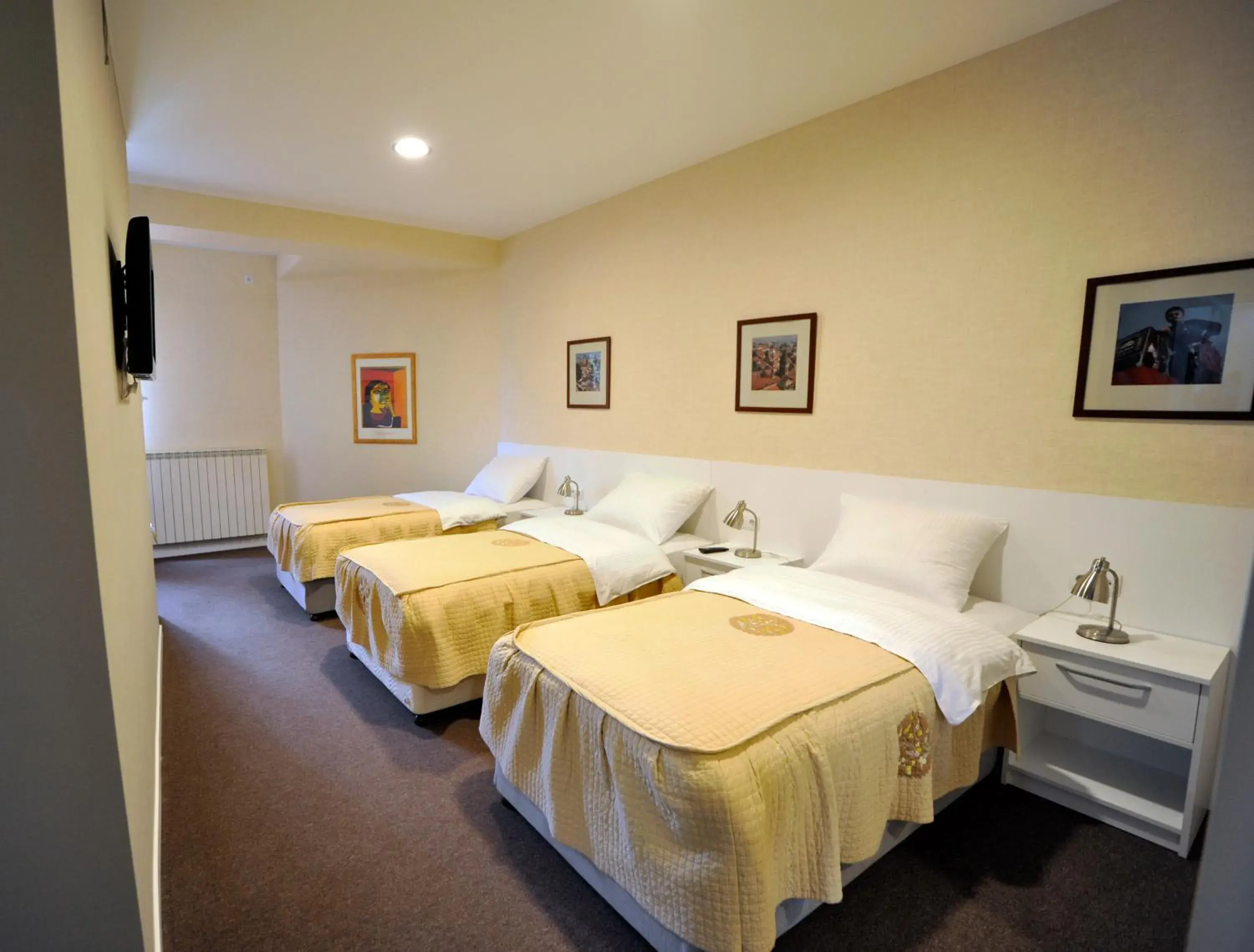 Triple Room - single occupancy in ZP Hotel Triple Room - single occupancy in ZP Hotel