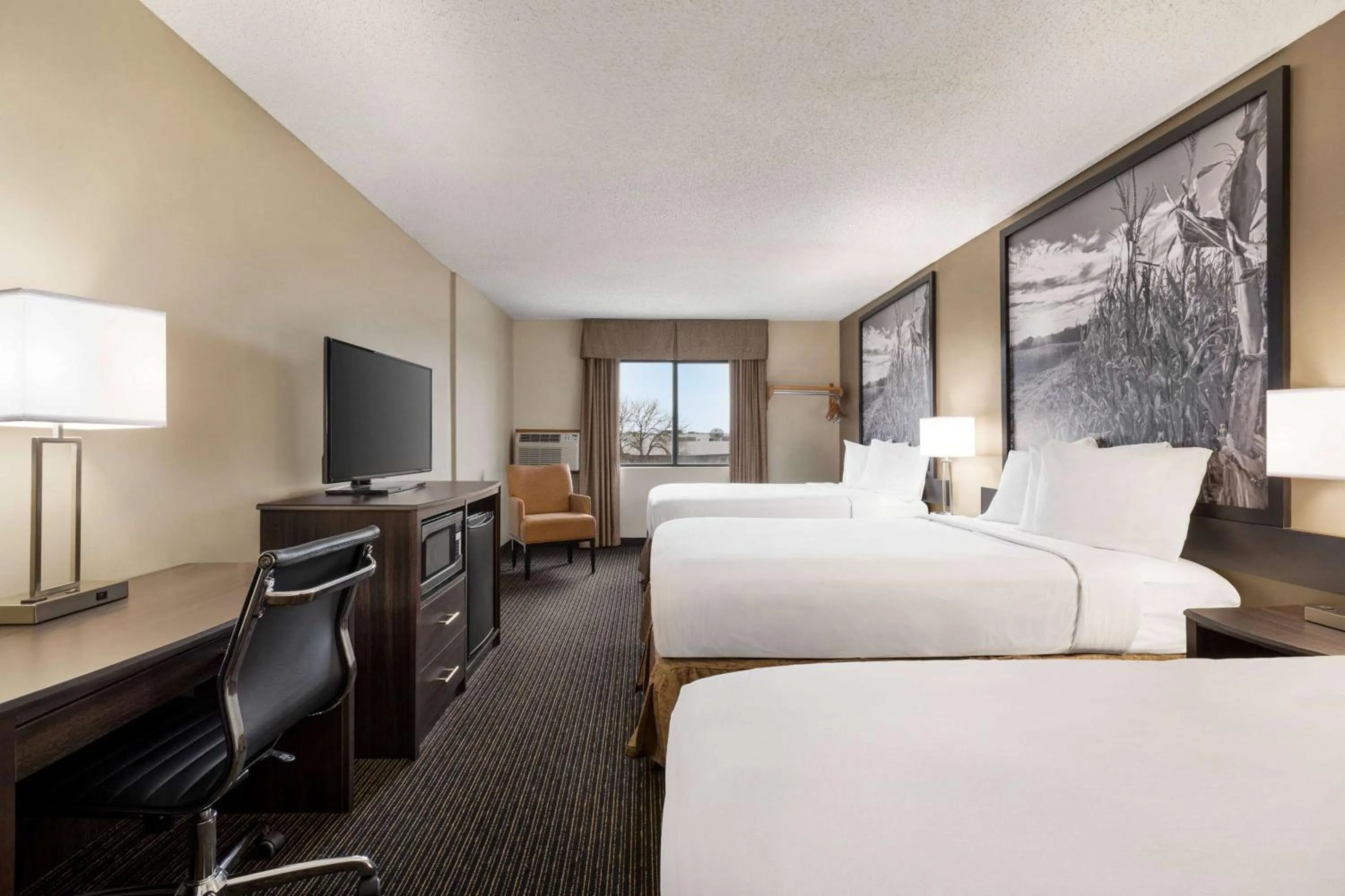 Photo of the whole room, Bed in Super 8 by Wyndham Lincoln North