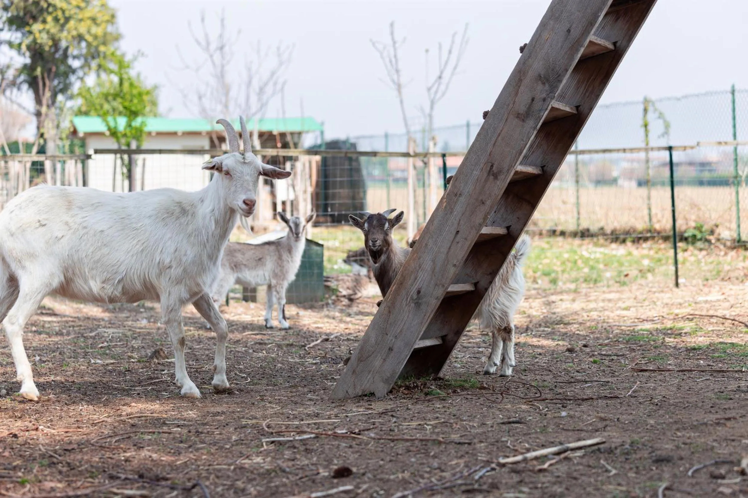 Cascina cattabreghetta