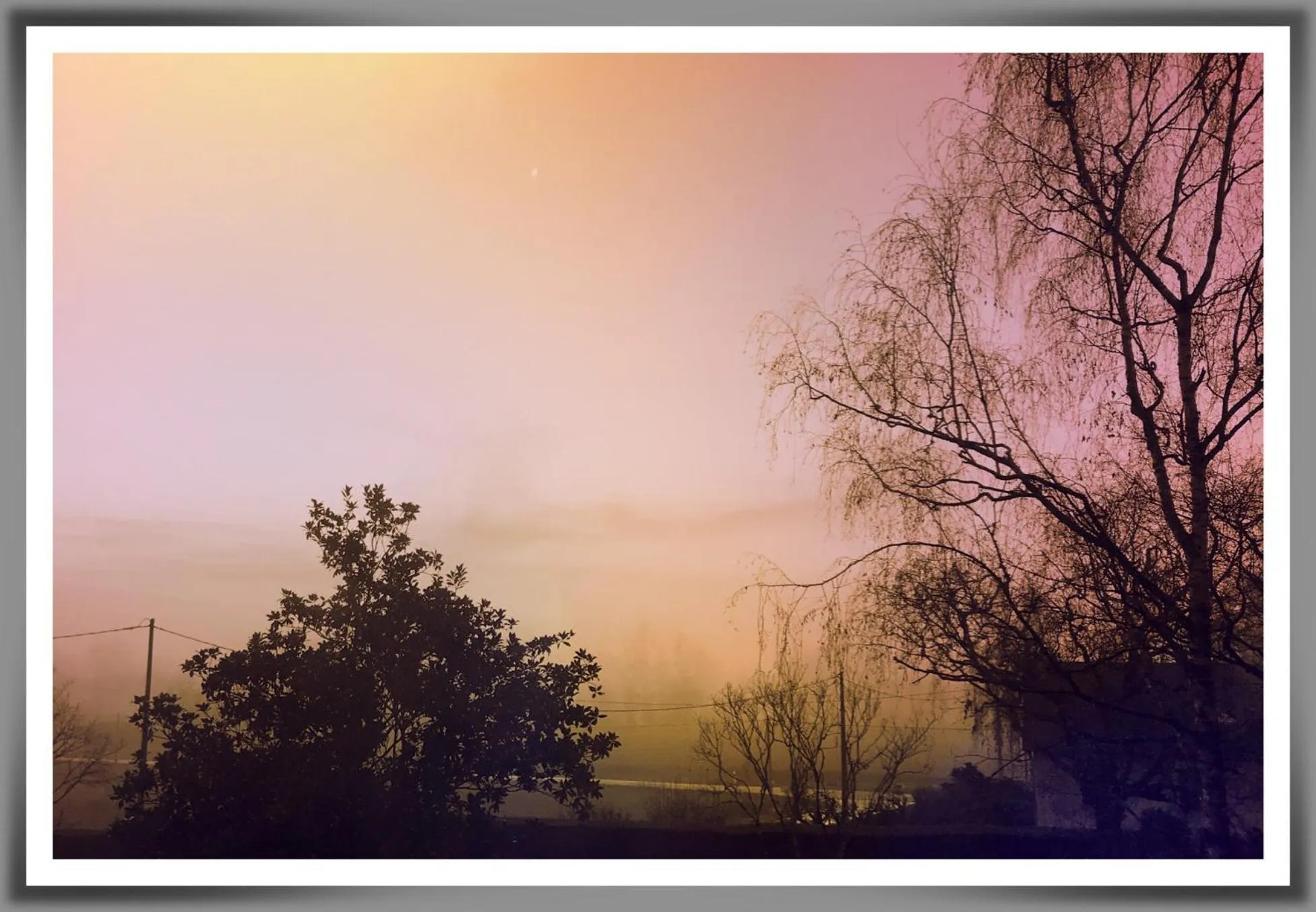 Garden view in Chez Flo et Marc