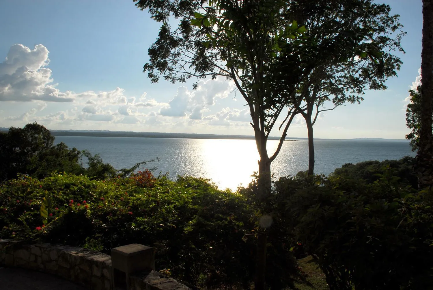 Natural landscape in Camino Real Tikal‎