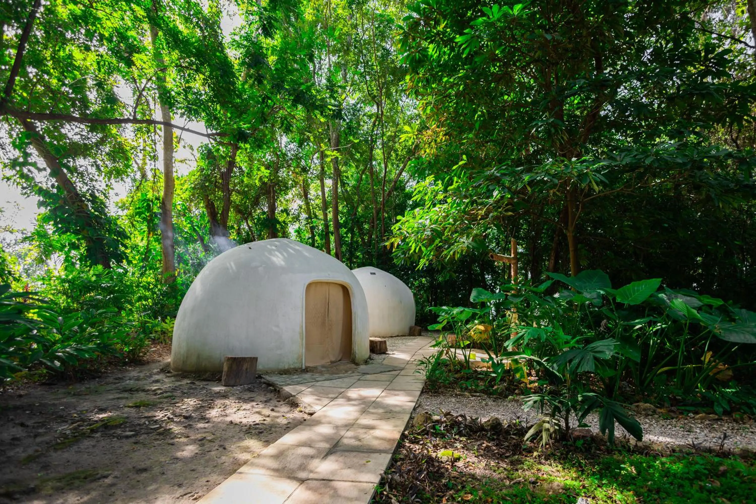 Spring in Camino Real Tikal‎