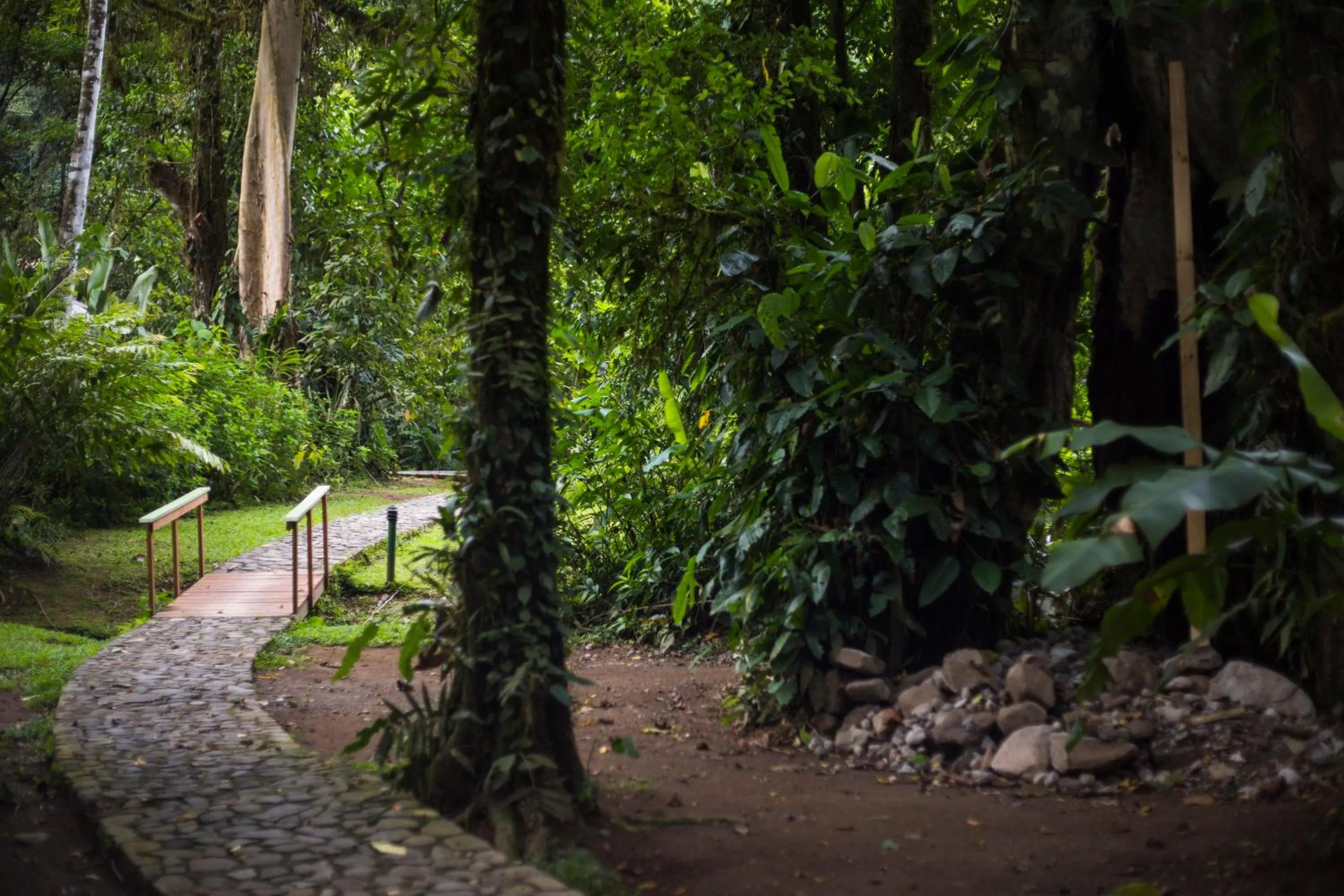 Garden in Pacuare Lodge by Böëna