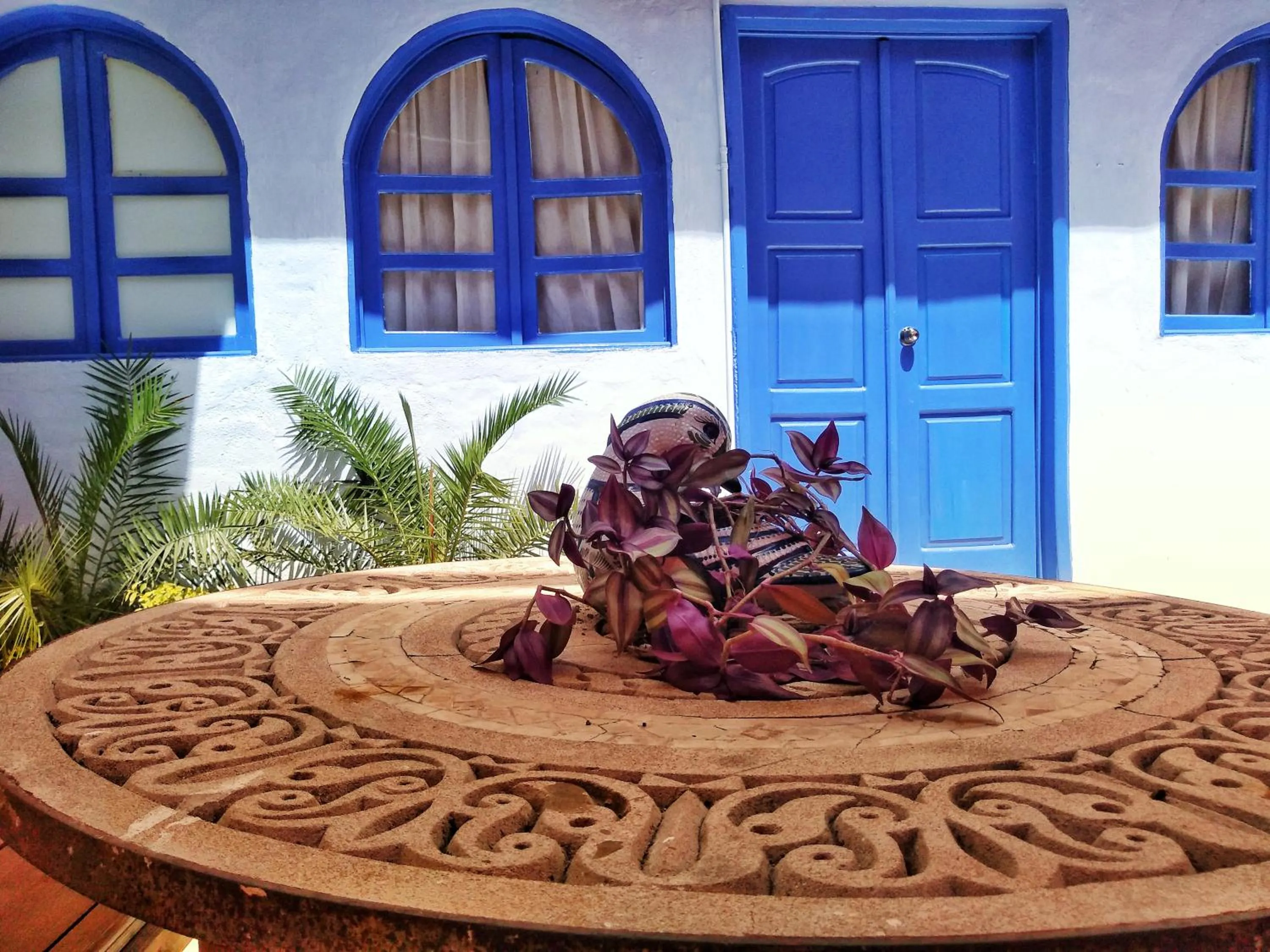 Balcony/Terrace in Lola Atlachinolli