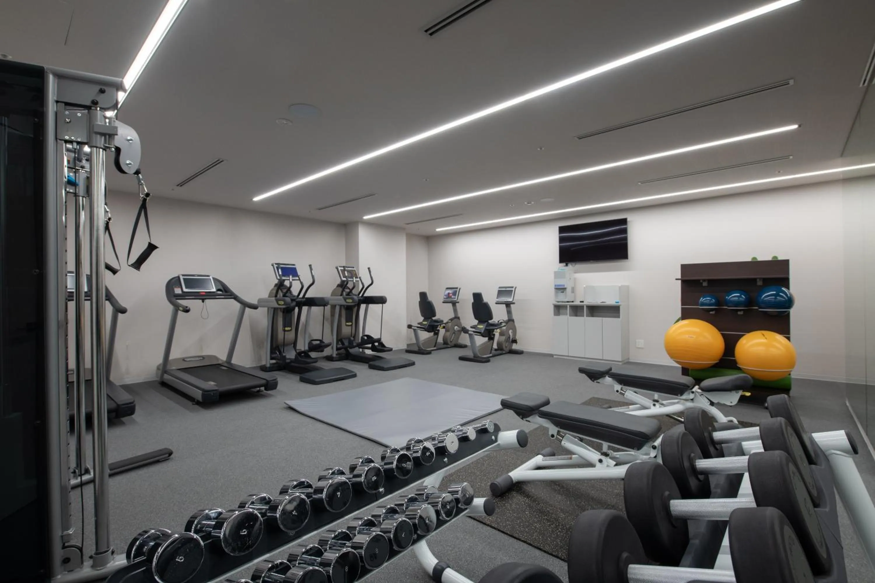 Fitness centre/facilities in Skye Niseko