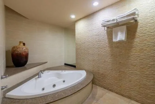 Bathroom in Hotel Flamingo Inn