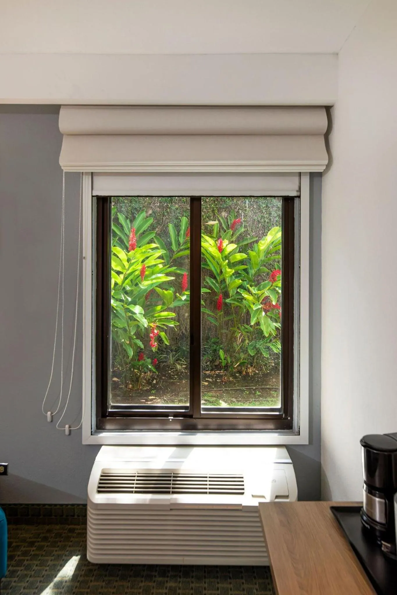 Photo of the whole room, Bed in Holiday Inn Express San Jose Costa Rica Airport by IHG