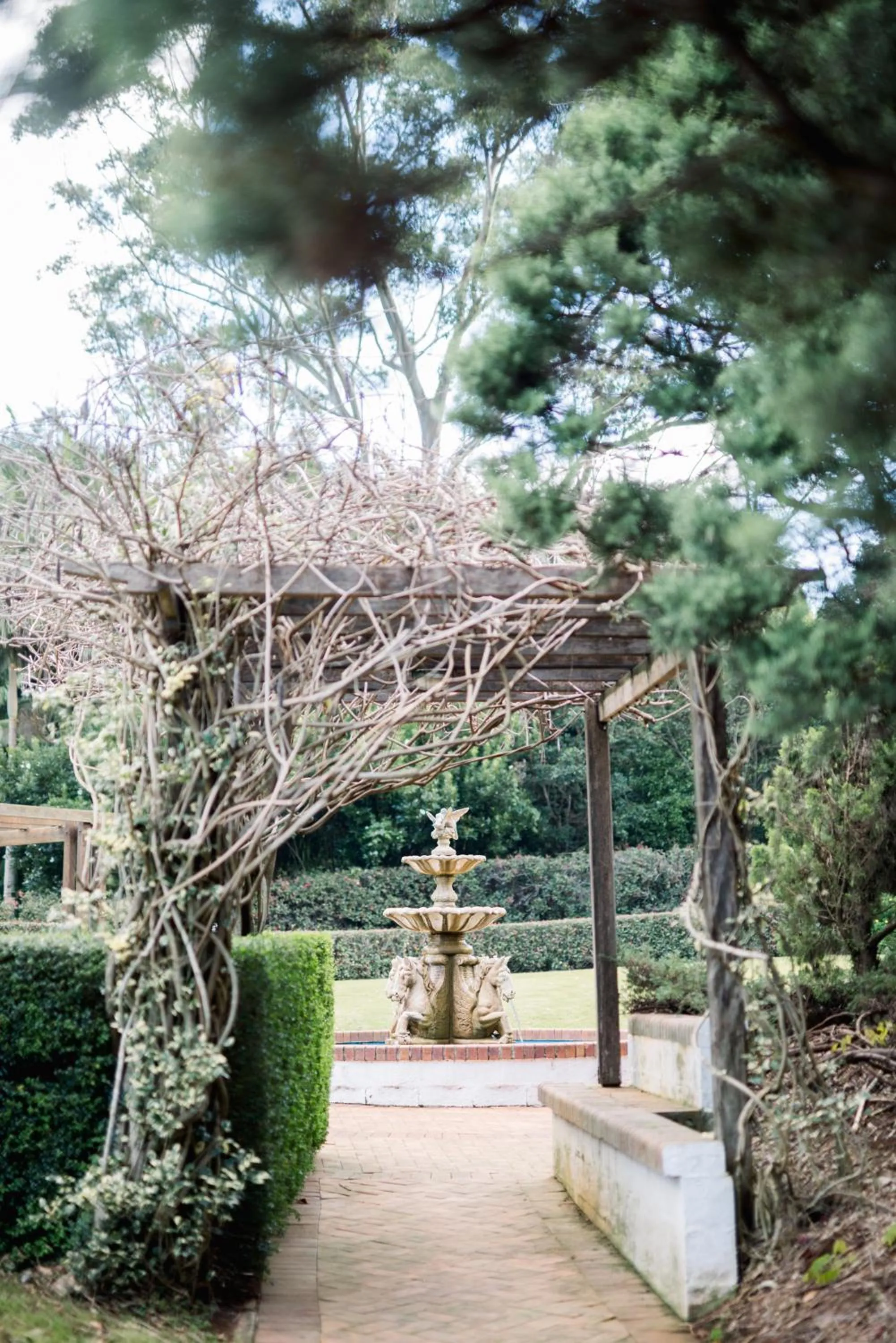 Garden in Shambala Estate Cottages