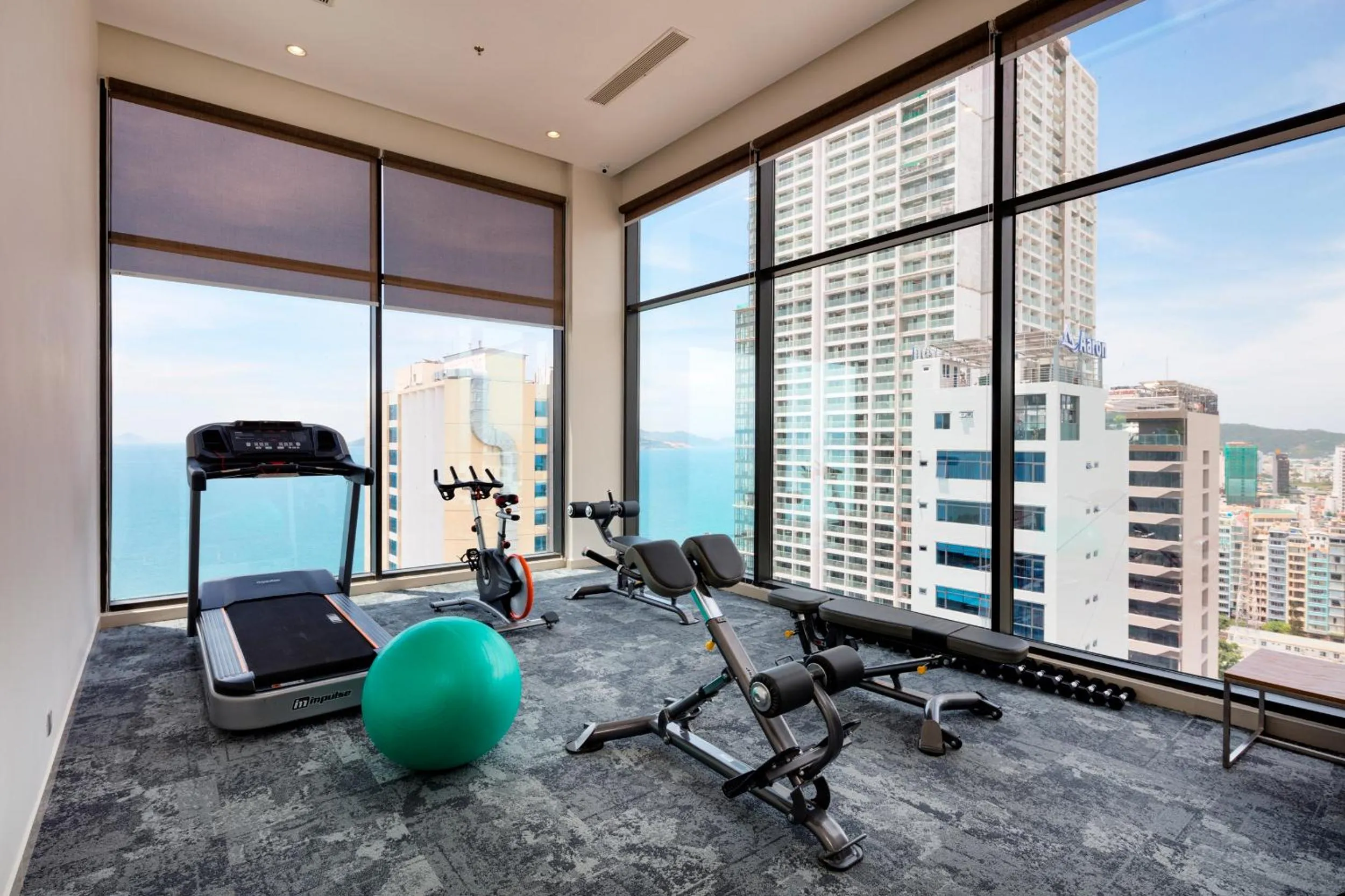 Fitness centre/facilities in Nagar Hotel Nha Trang