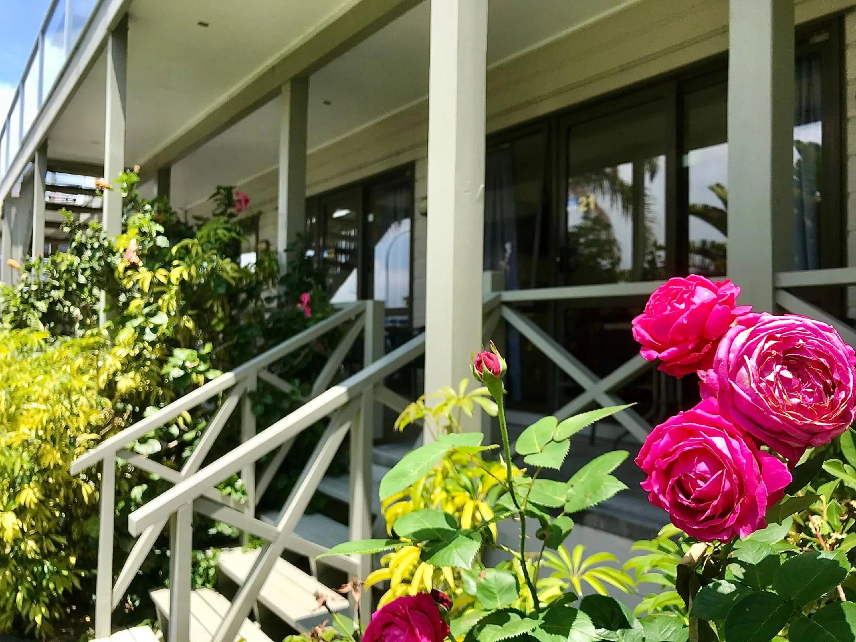 Garden in Bounty Motel