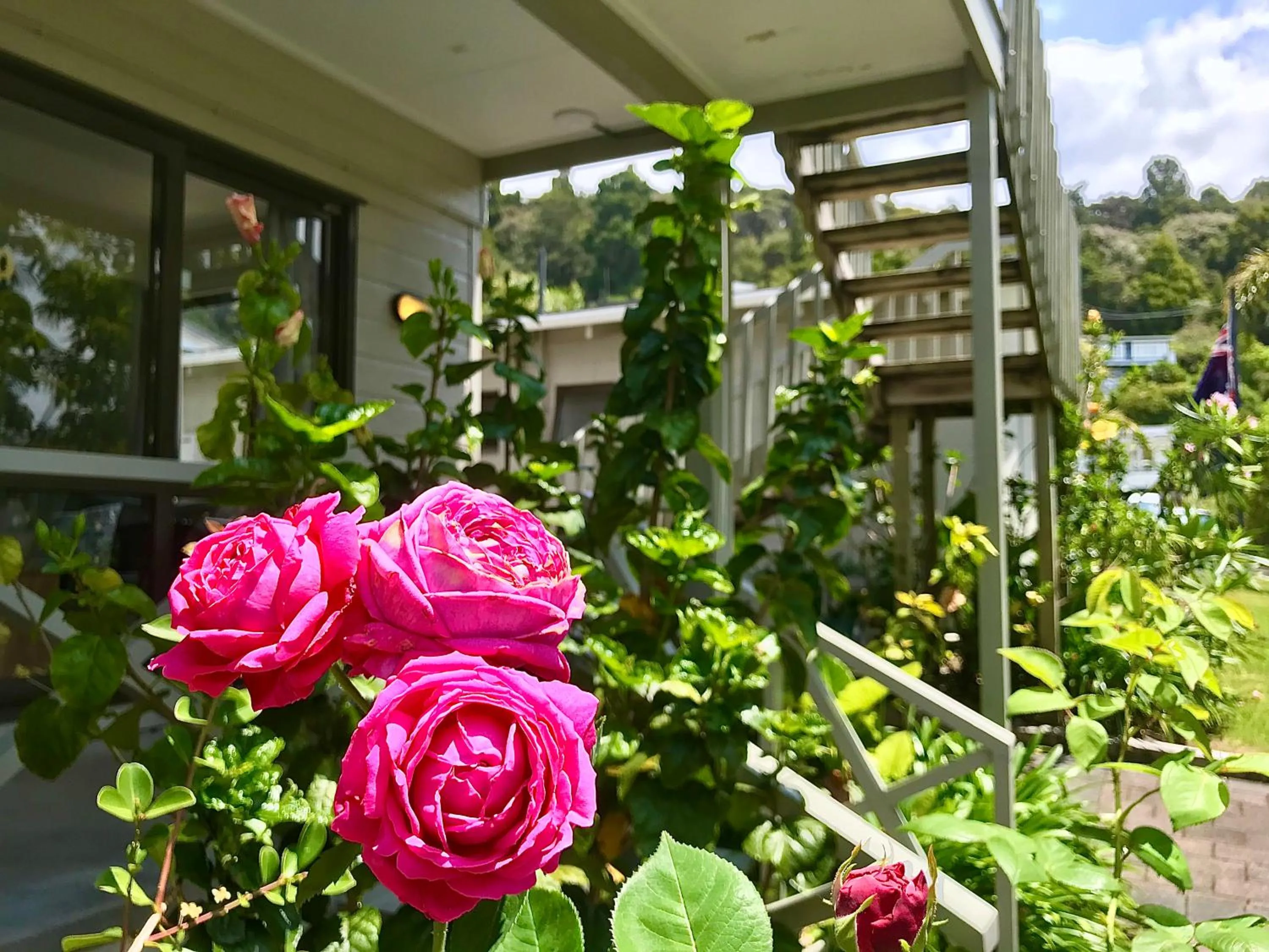 Garden in Bounty Motel