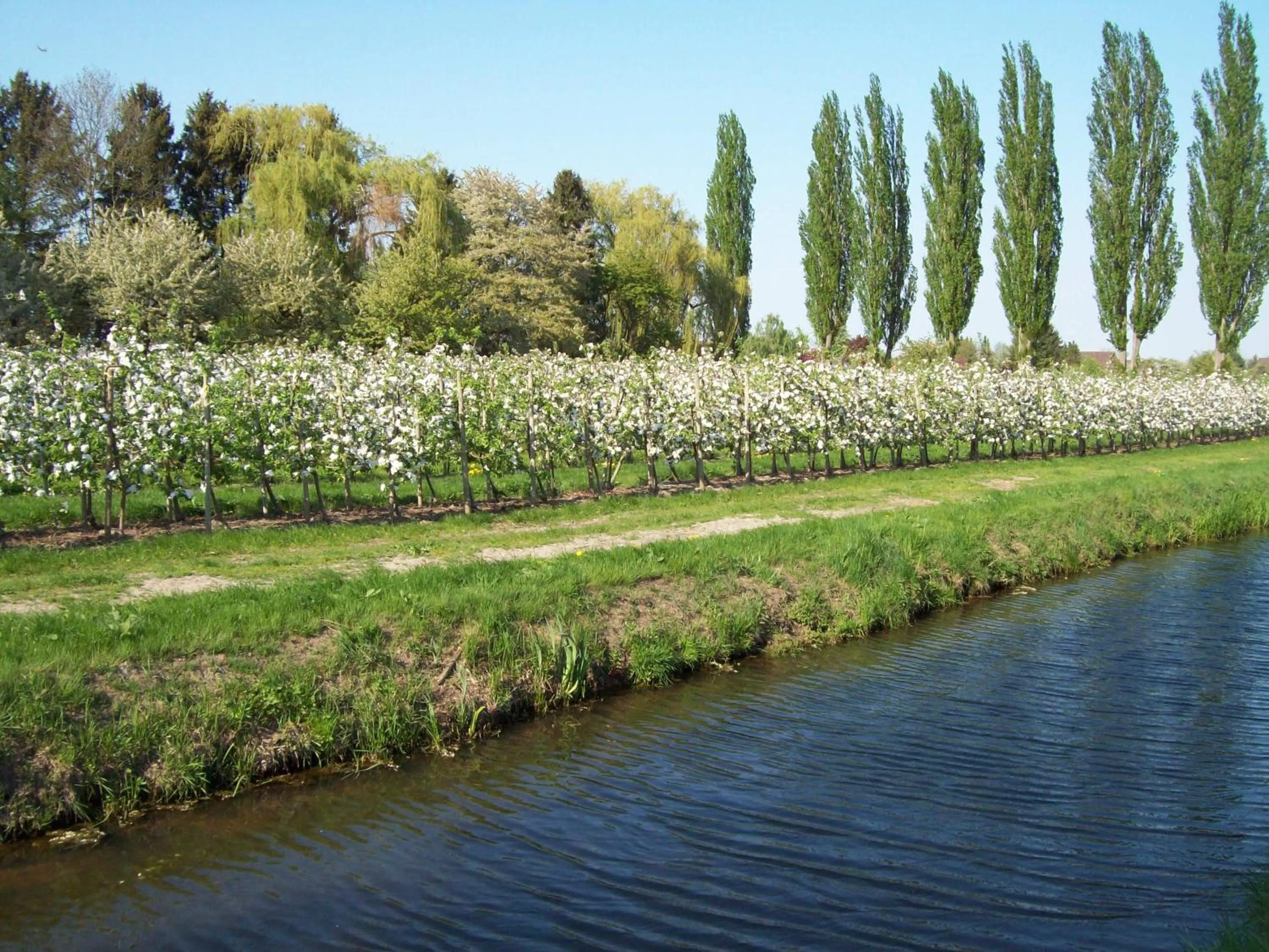 Natural landscape in Bundt's Hotel & Gartenrestaurant