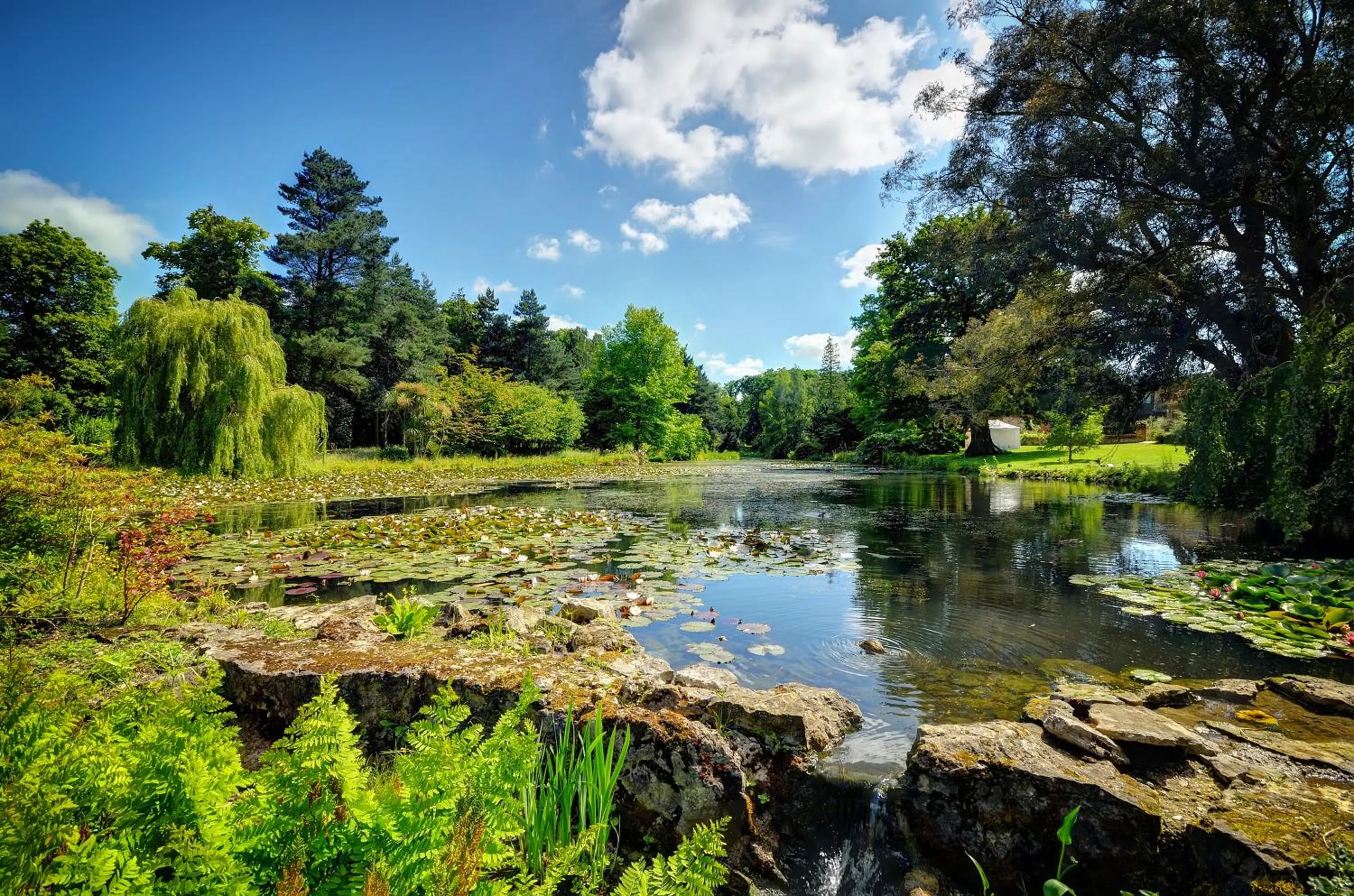 Spring in Lifehouse Spa And Hotel