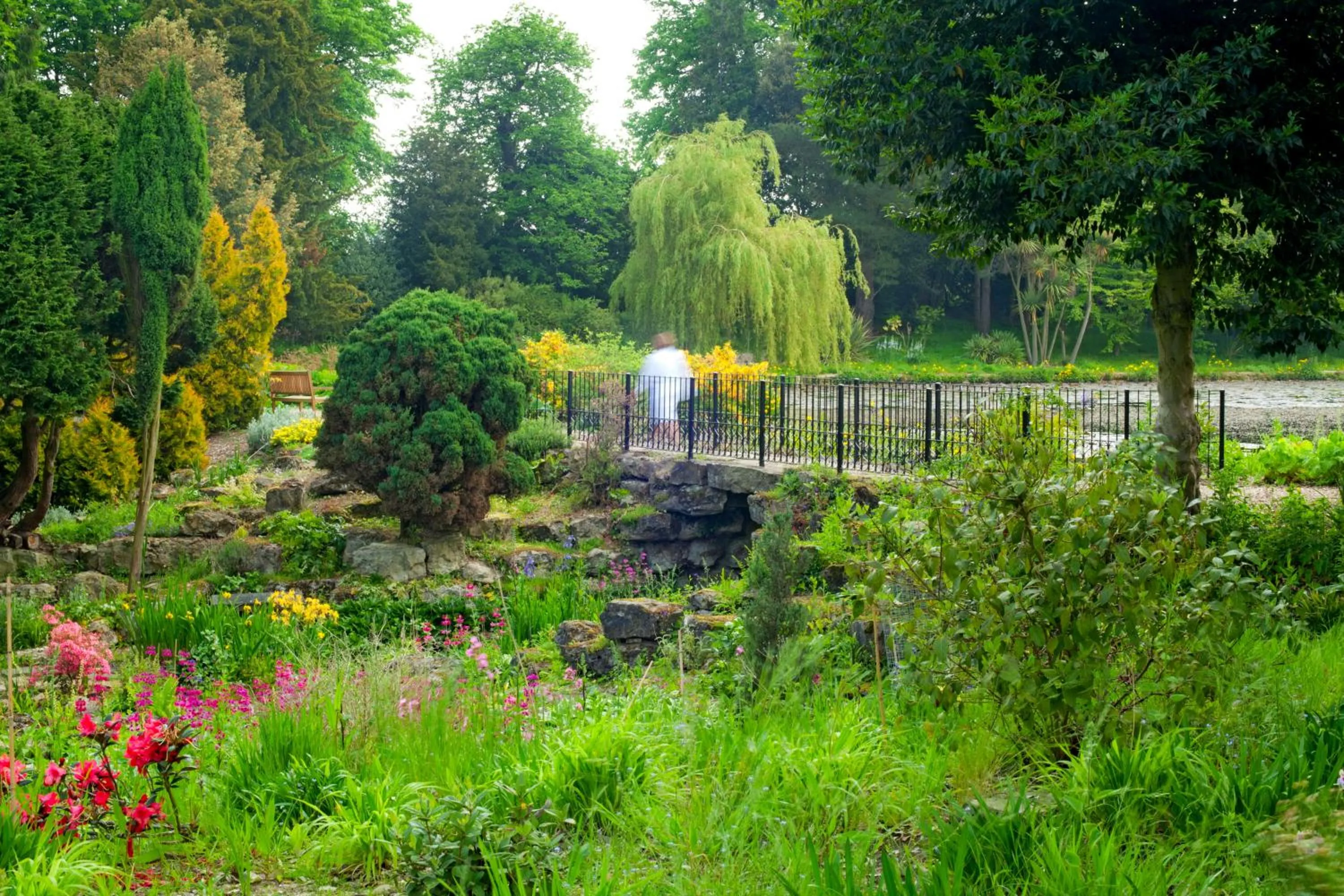 Spring in Lifehouse Spa And Hotel