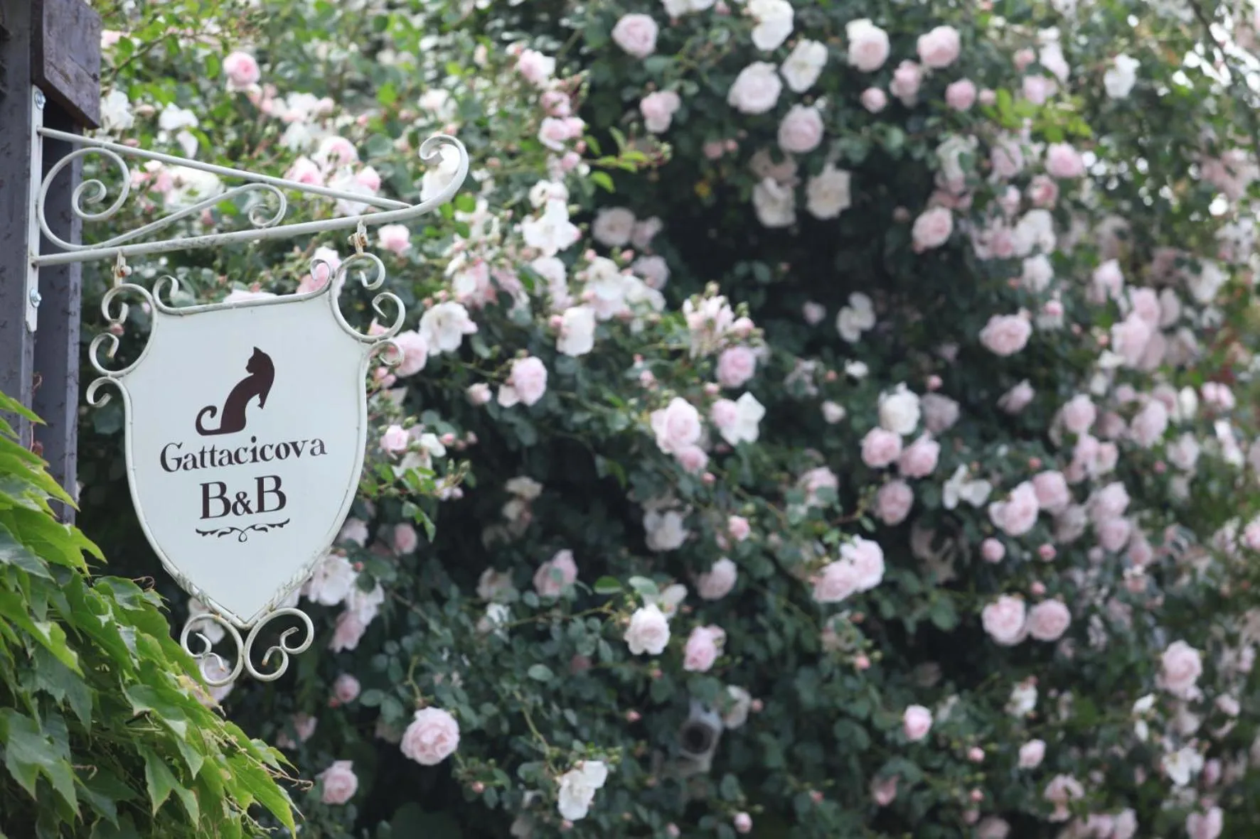 Property logo or sign in B&B Gattacicova