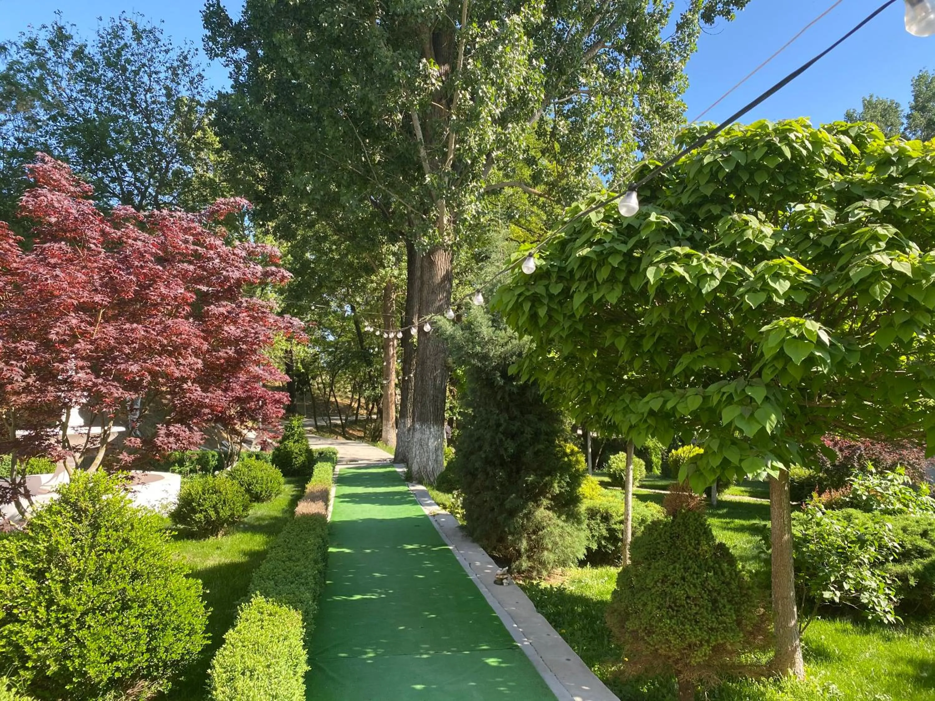 Garden in Resort Plaza Lake