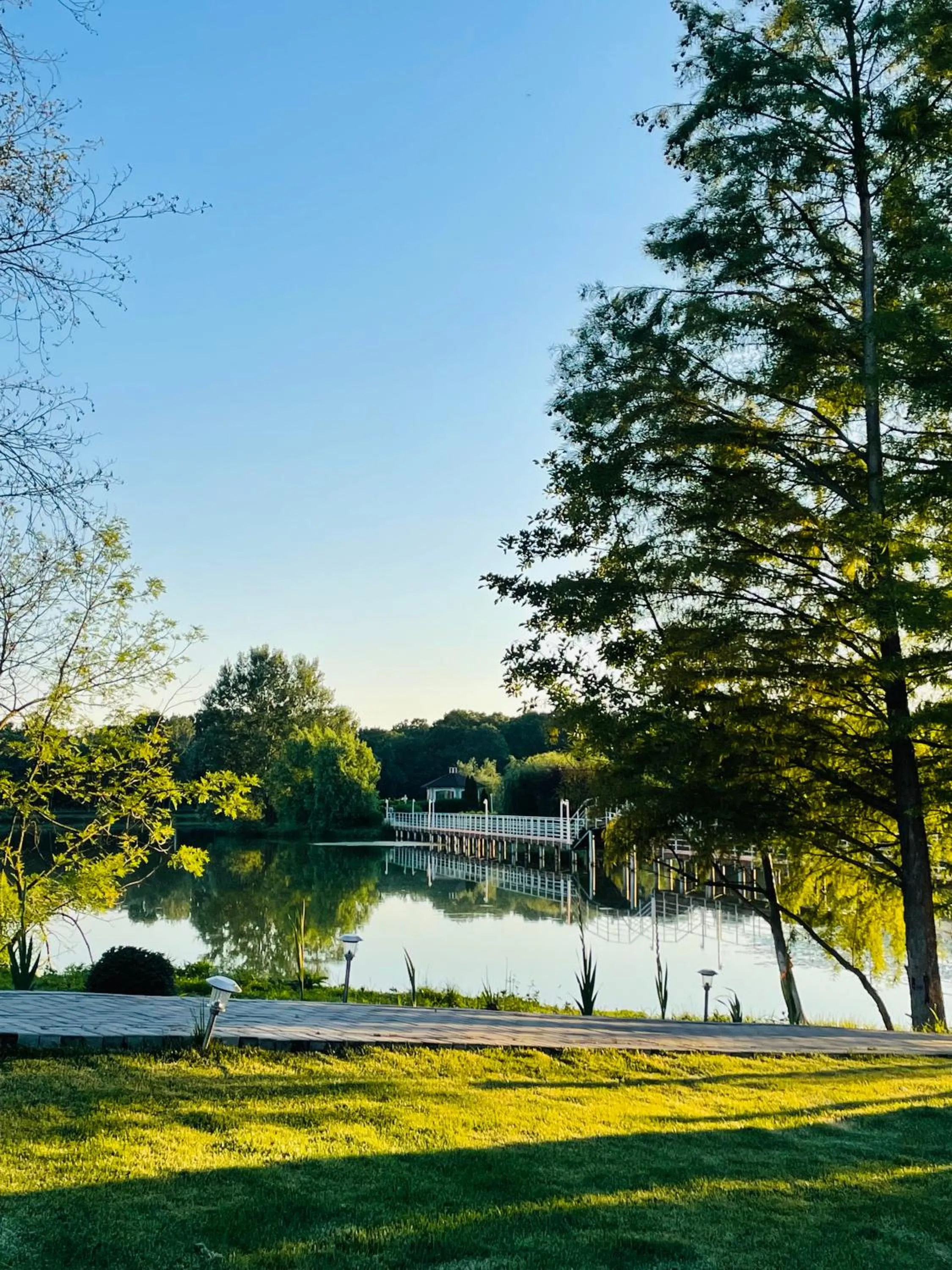 Natural landscape in Resort Plaza Lake
