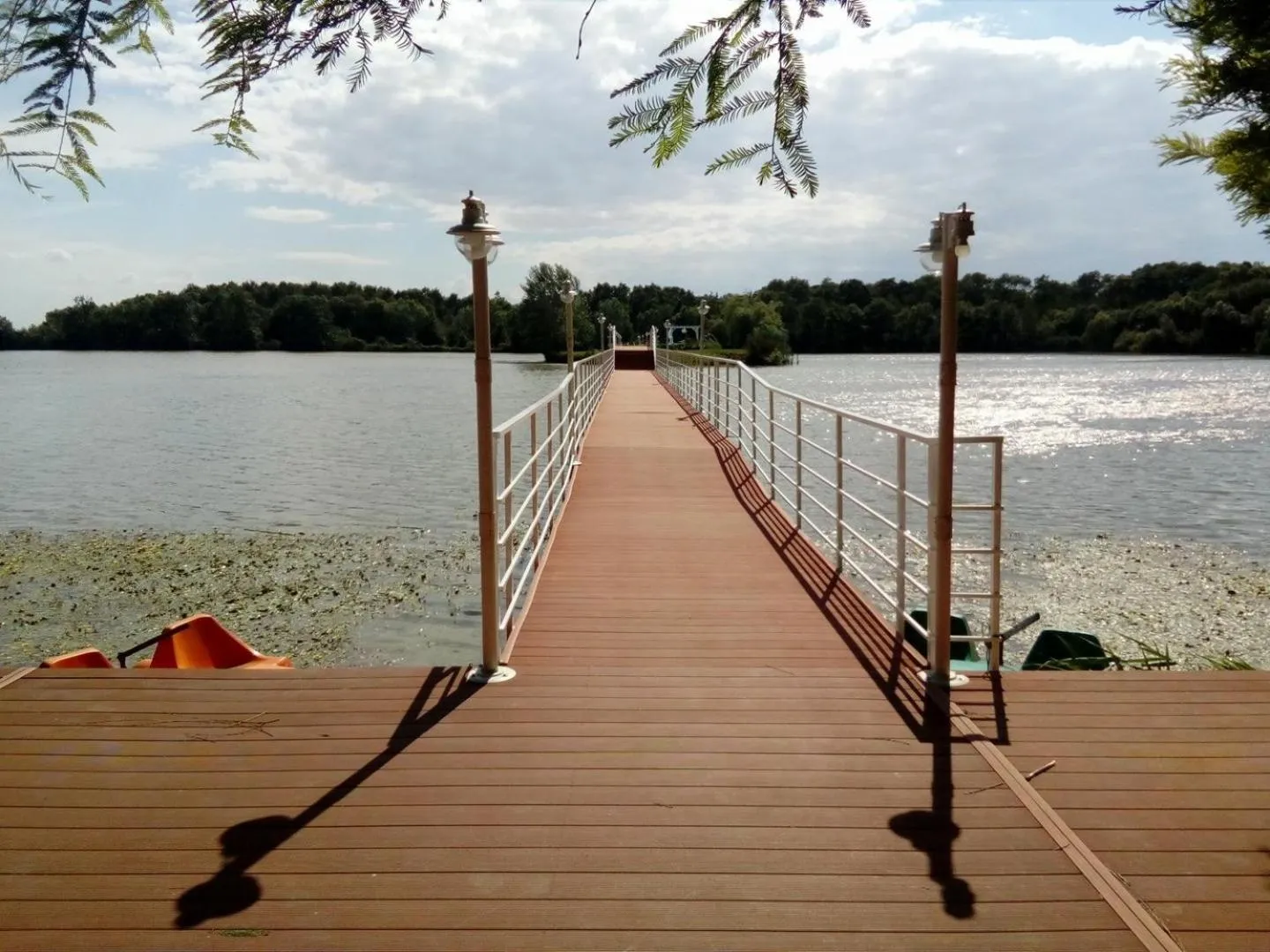 Natural landscape in Resort Plaza Lake