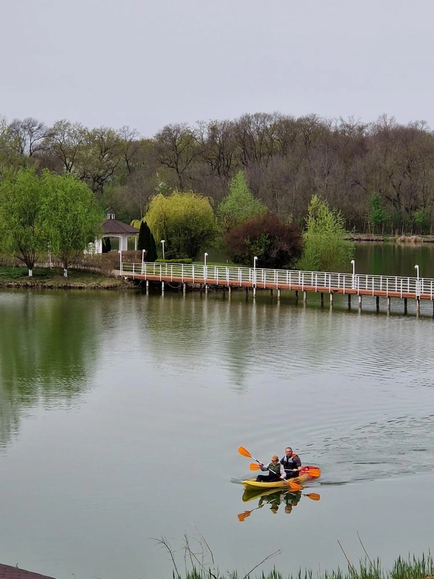 Natural landscape in Resort Plaza Lake