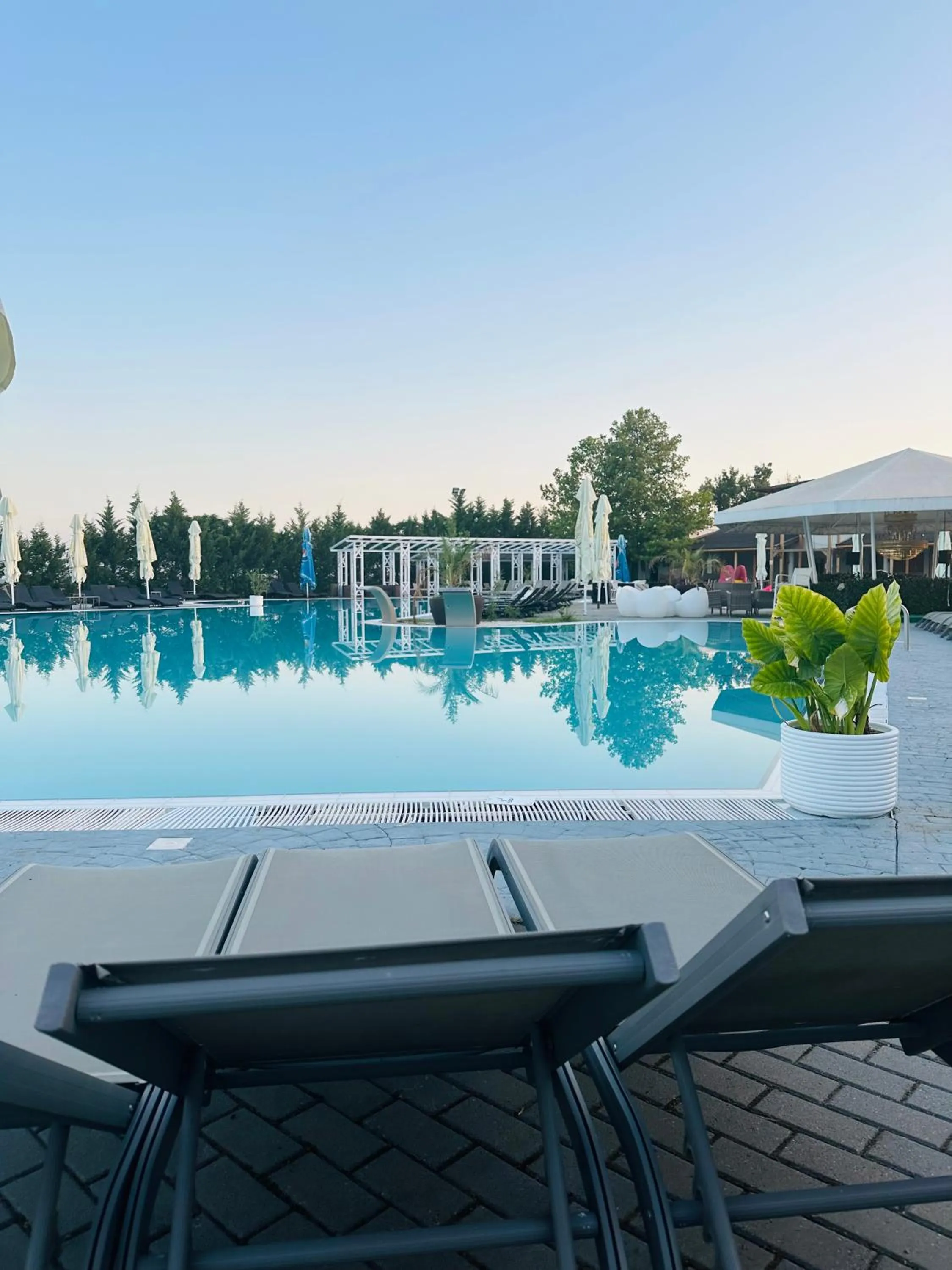 Natural landscape in Resort Plaza Lake