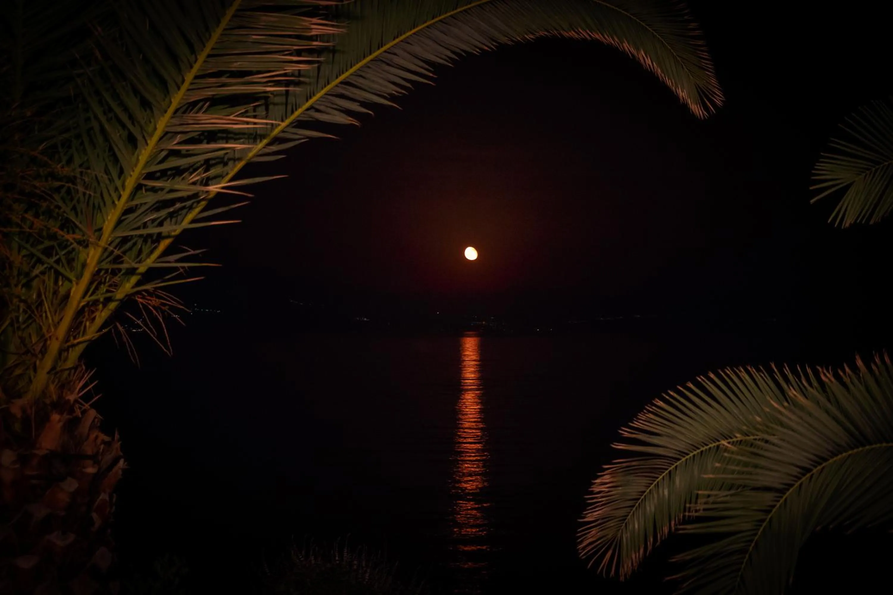 Night in Grekis Beach Hotel and Apartments