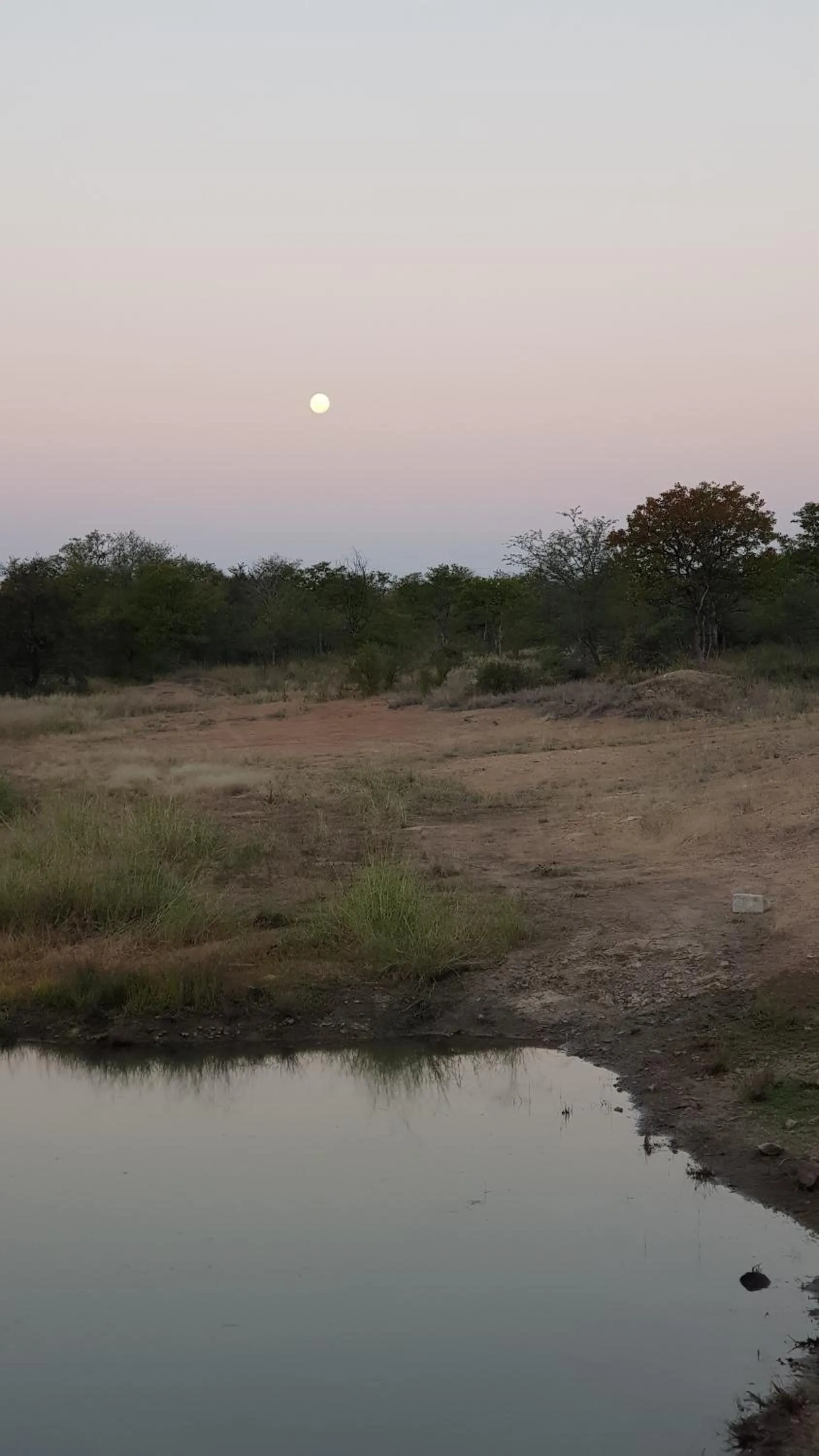 View (from property/room) in Cottage Lenise