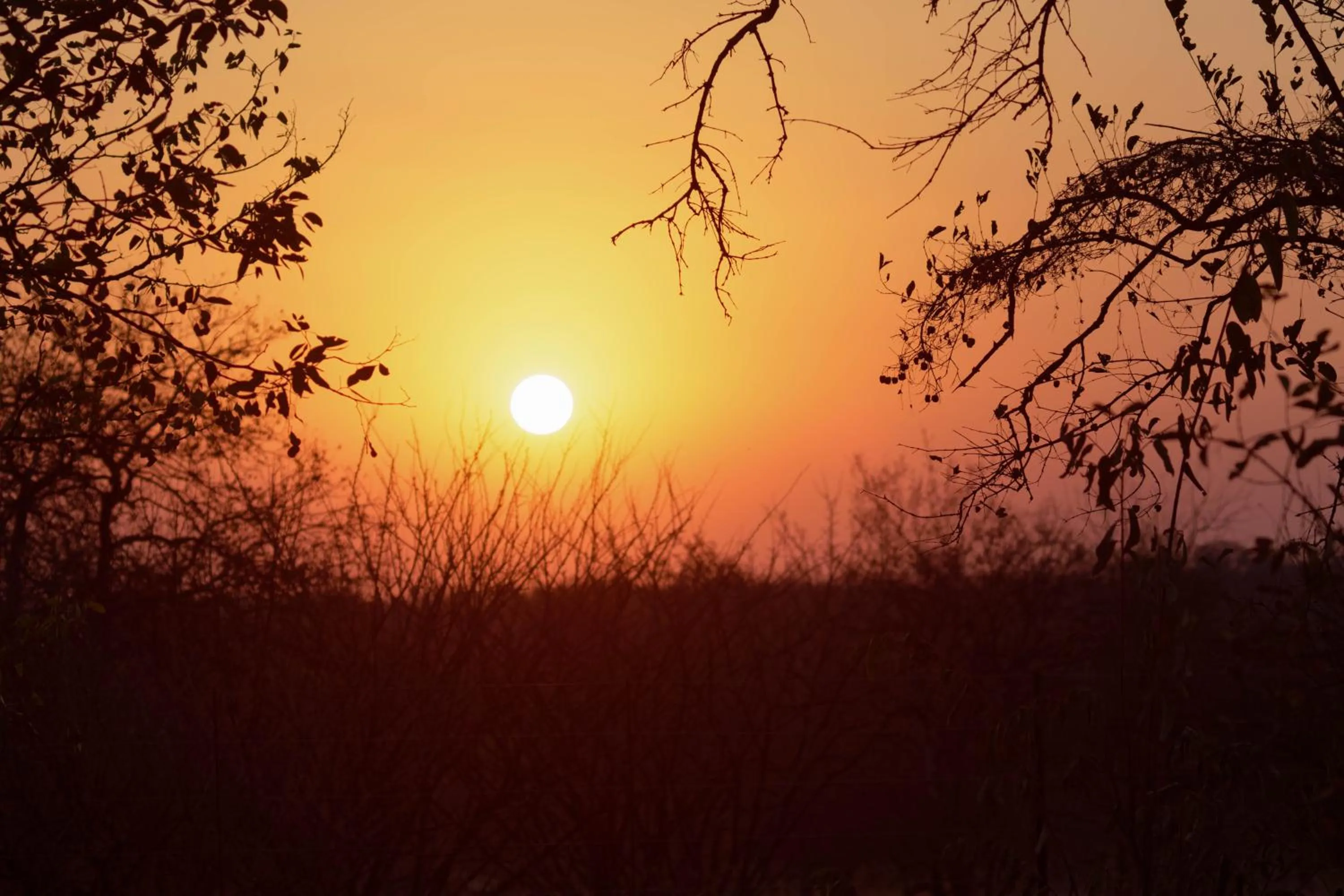 Natural landscape in Cottage Lenise