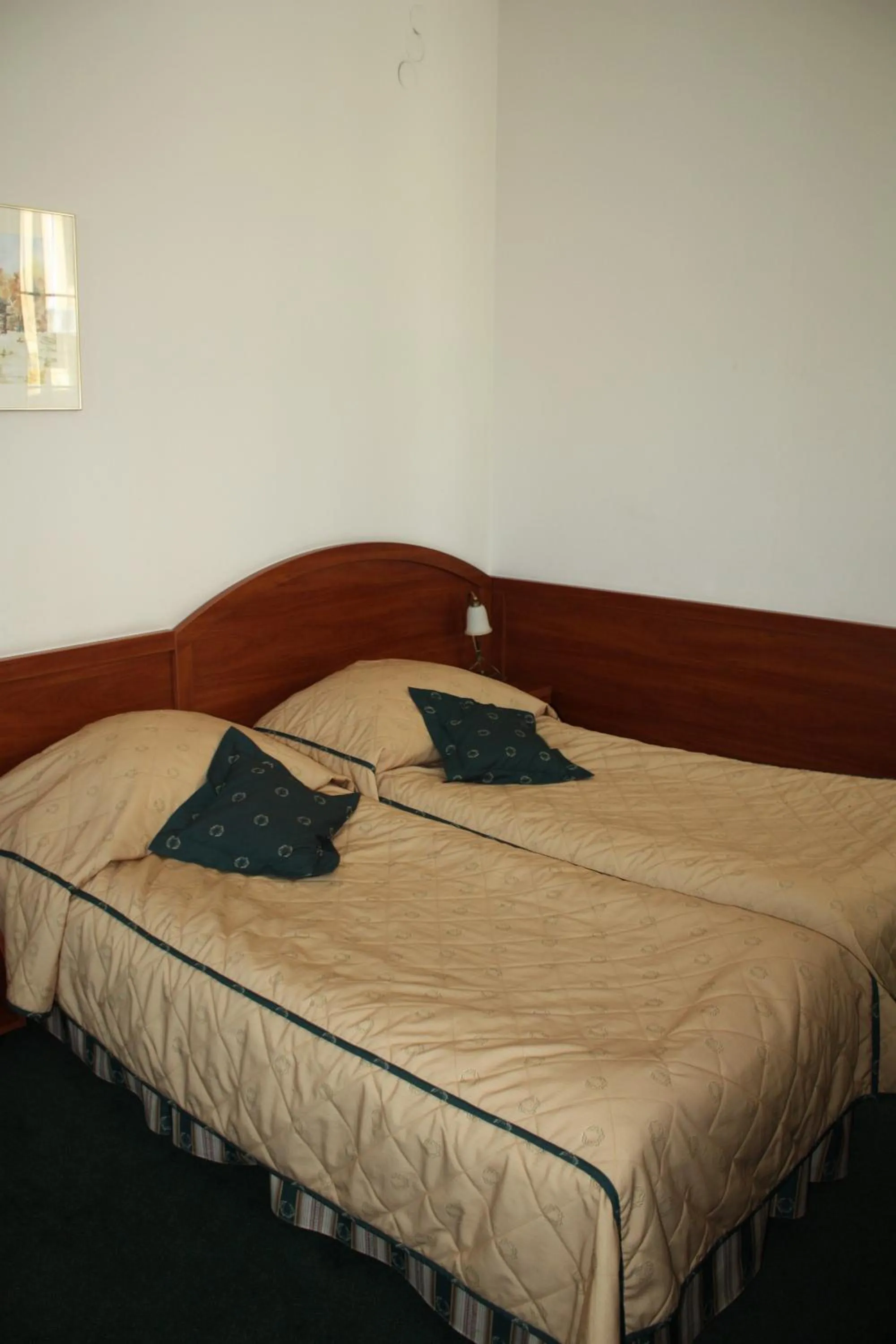 Photo of the whole room, Bed in Hotel Saol