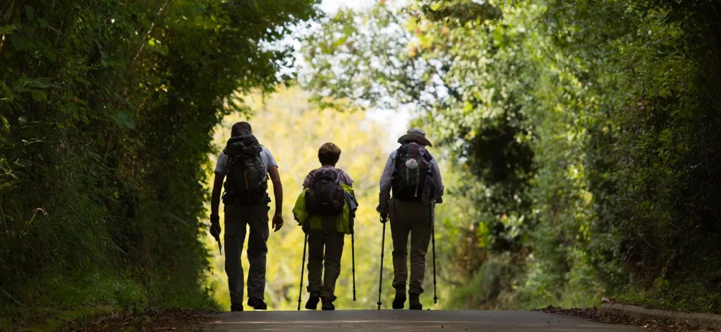 Natural landscape in Hotel Arcea Villaviciosa