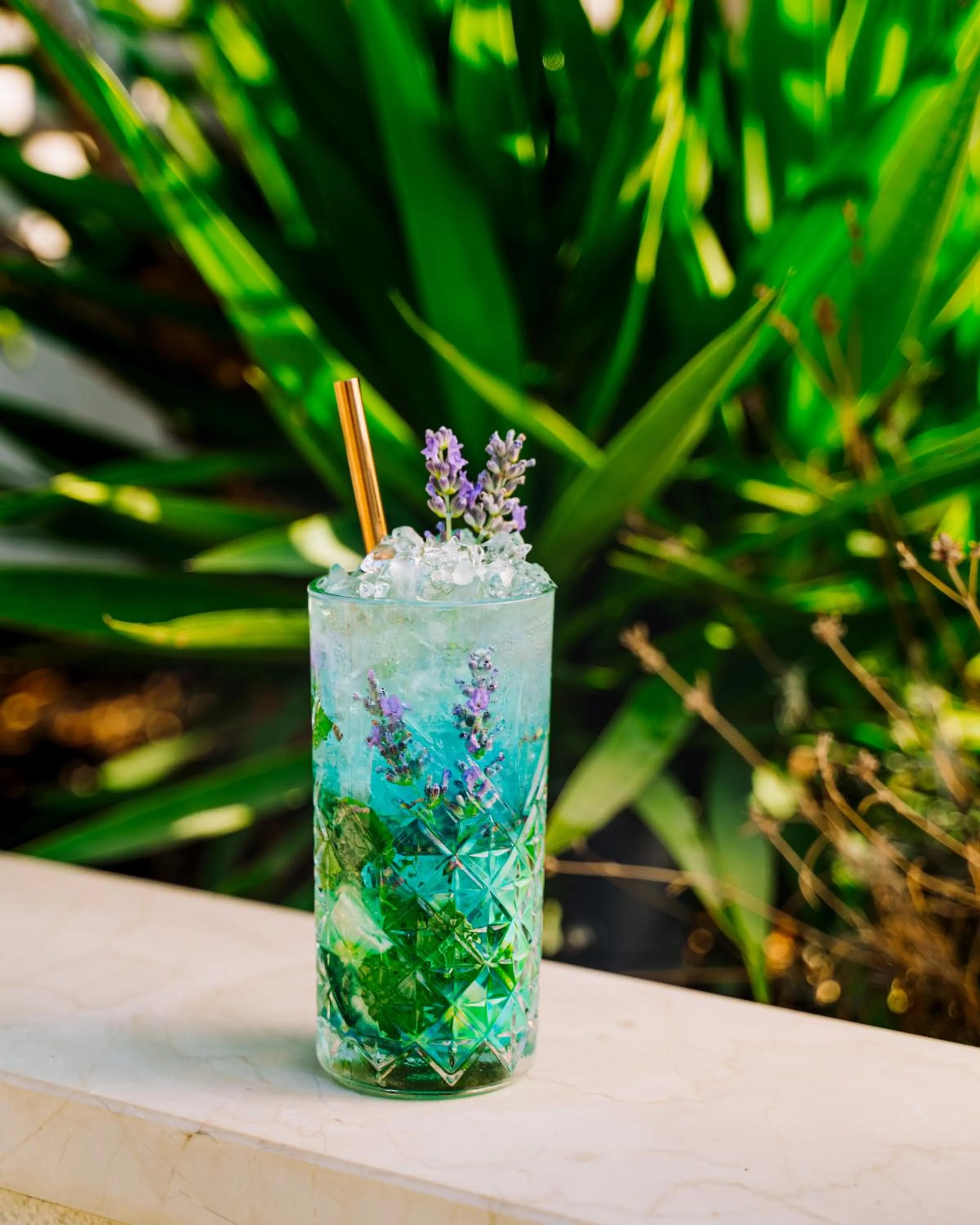 Drinks in Villa Orabelle