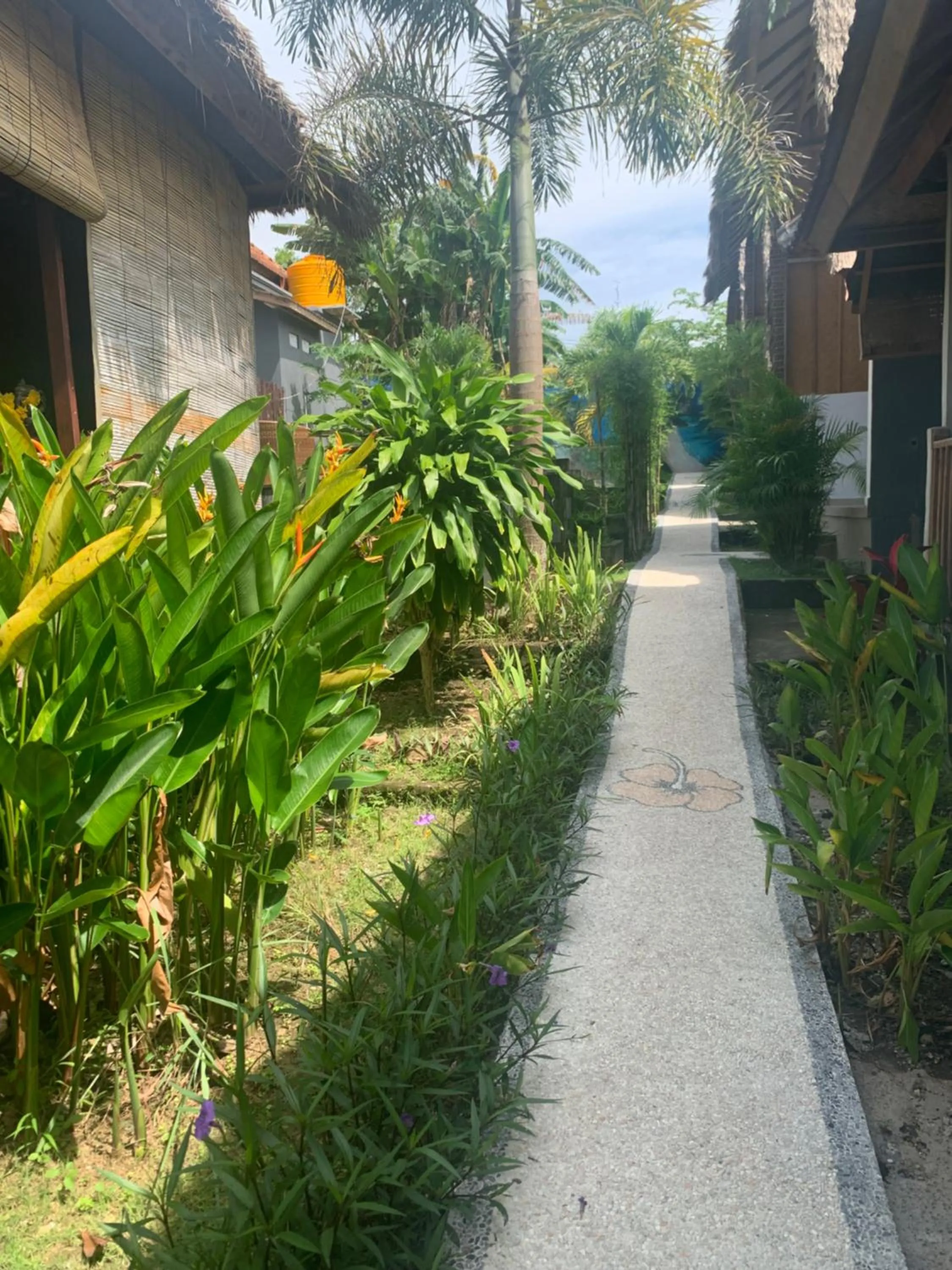 Garden in Jona Bungalow