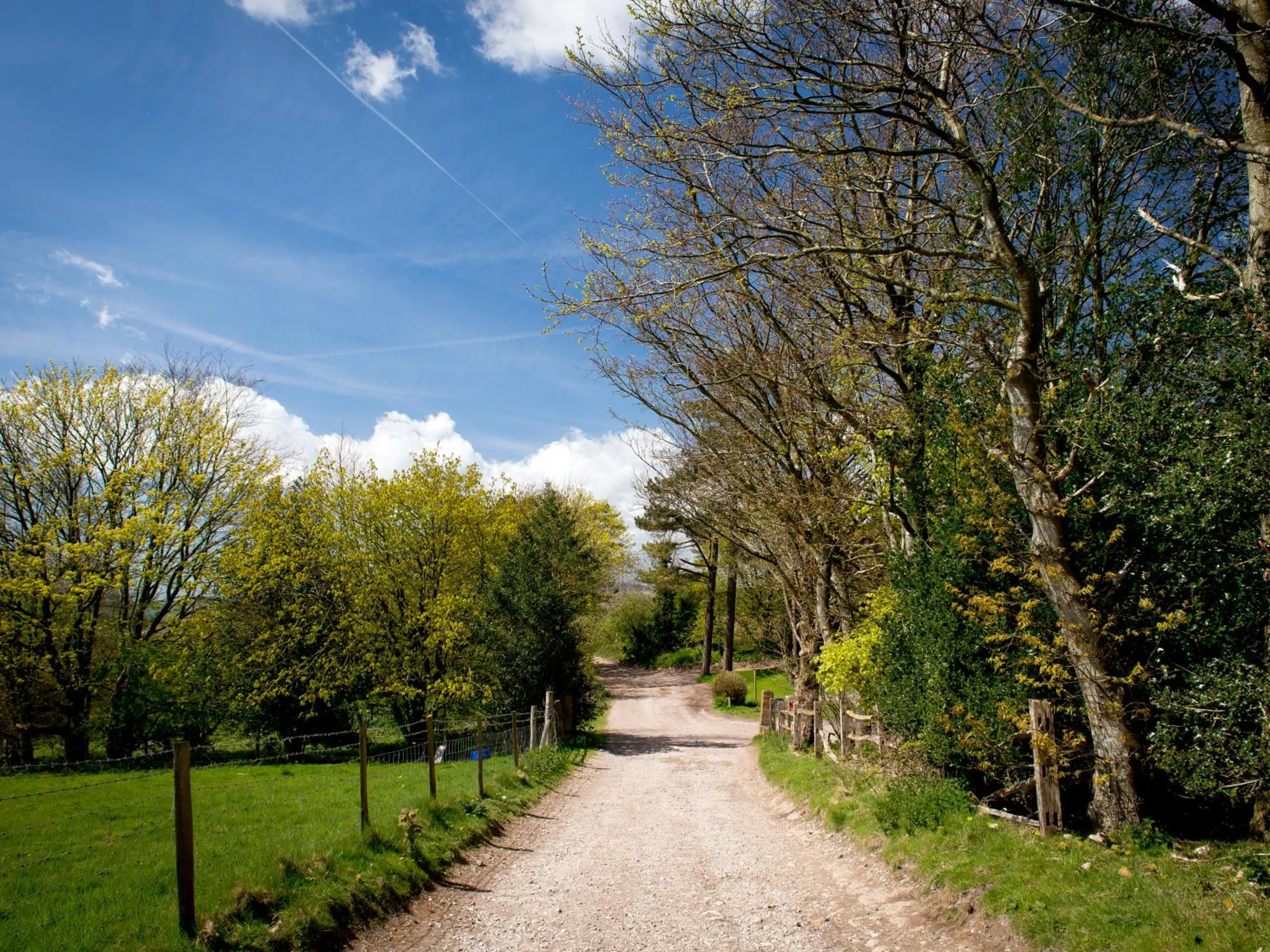 Natural landscape in YHA Truleigh Hill