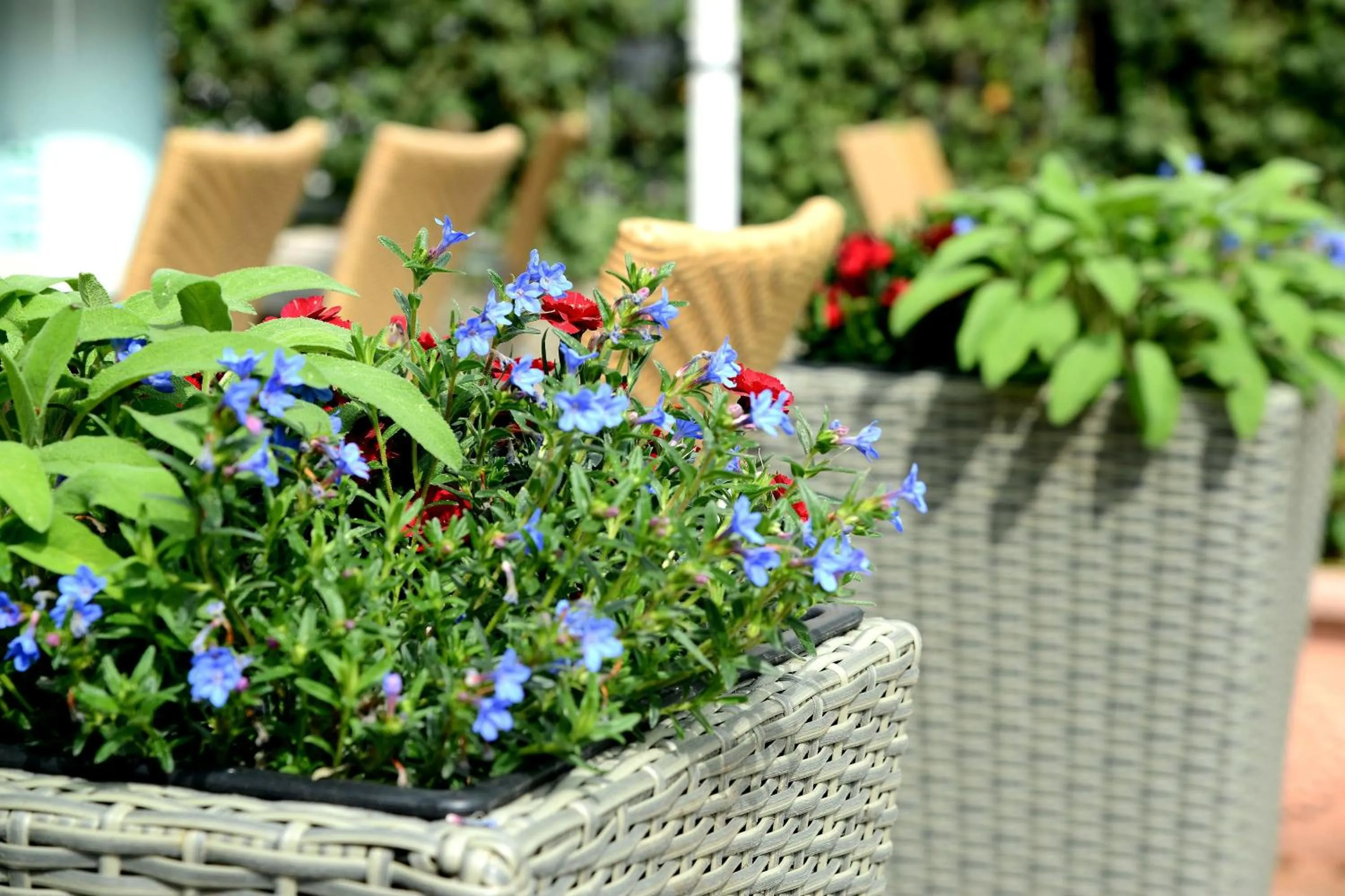 Other in Hotel & Restaurant Graf