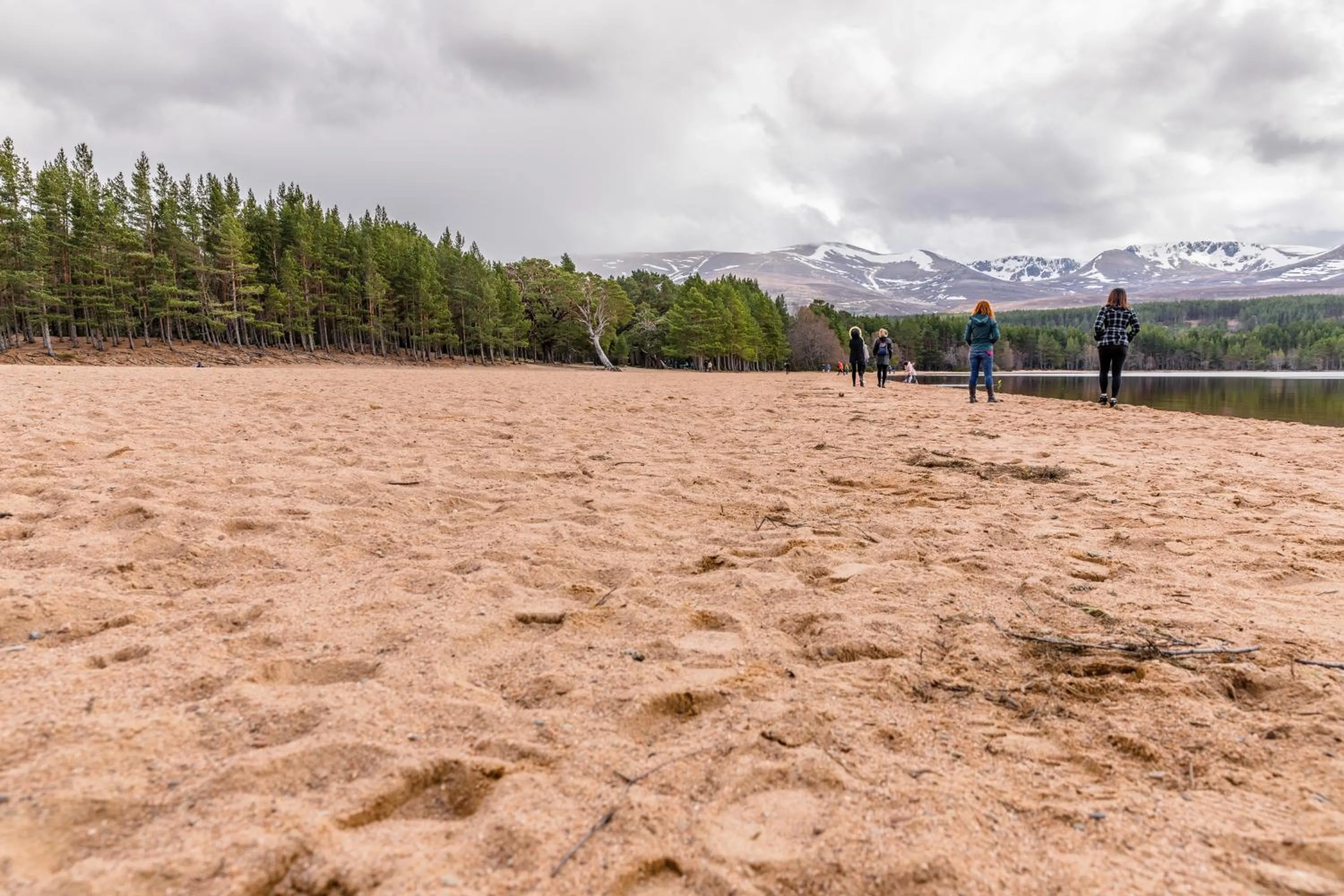 Nearby landmark in Macdonald Woodland Lodges at Macdonald Aviemore Resort