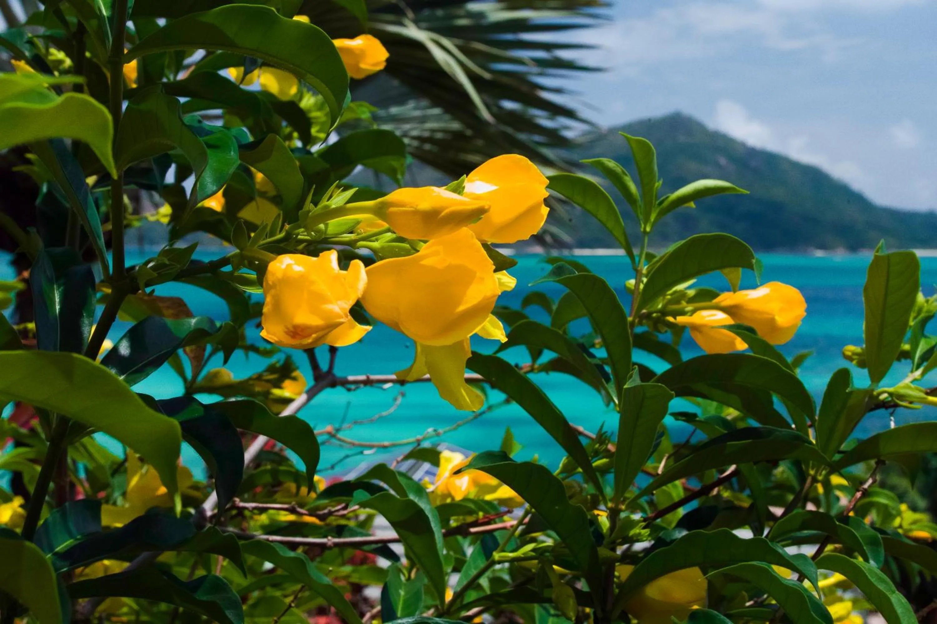 Natural landscape in Colibri Hotel
