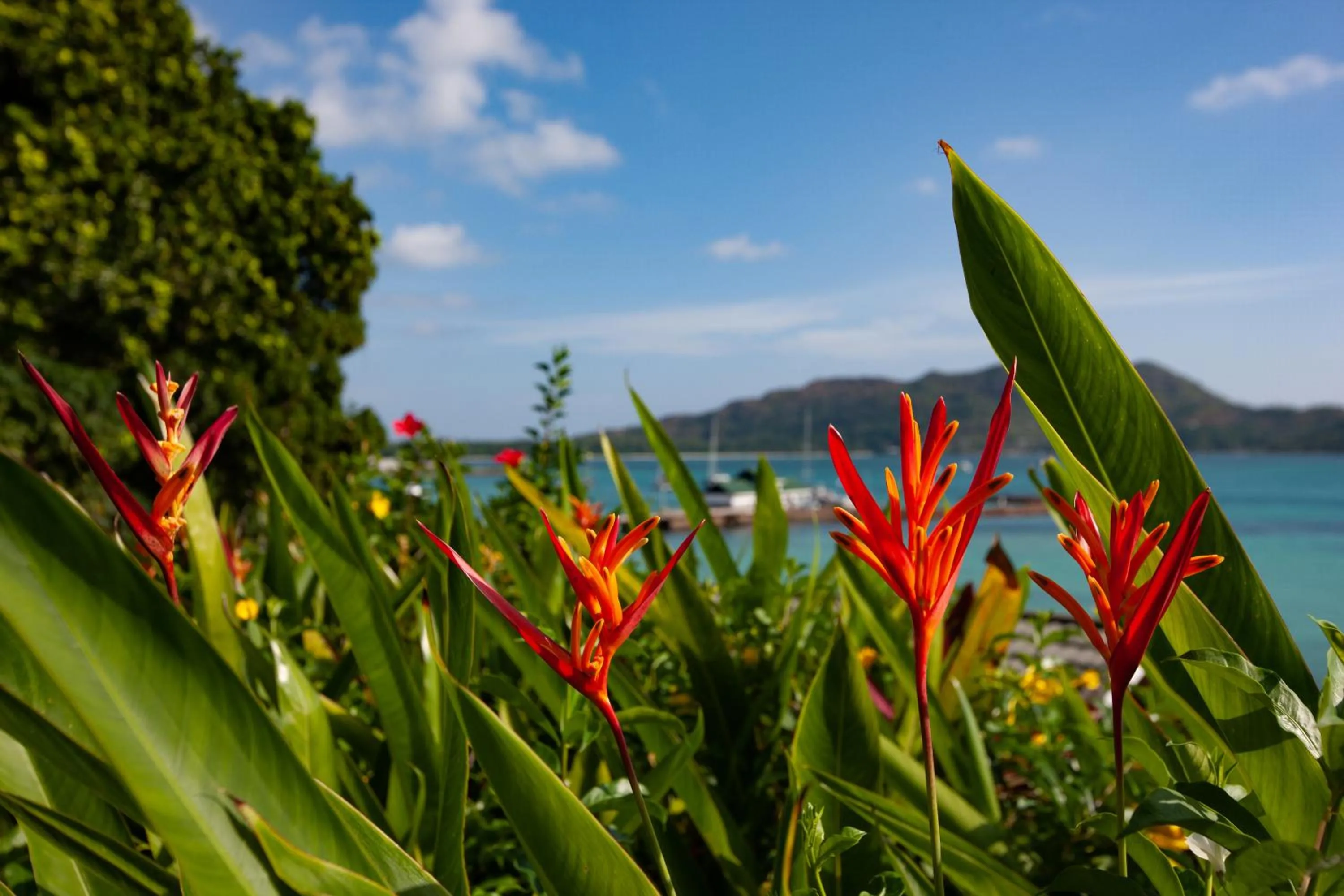 Natural landscape in Colibri Hotel