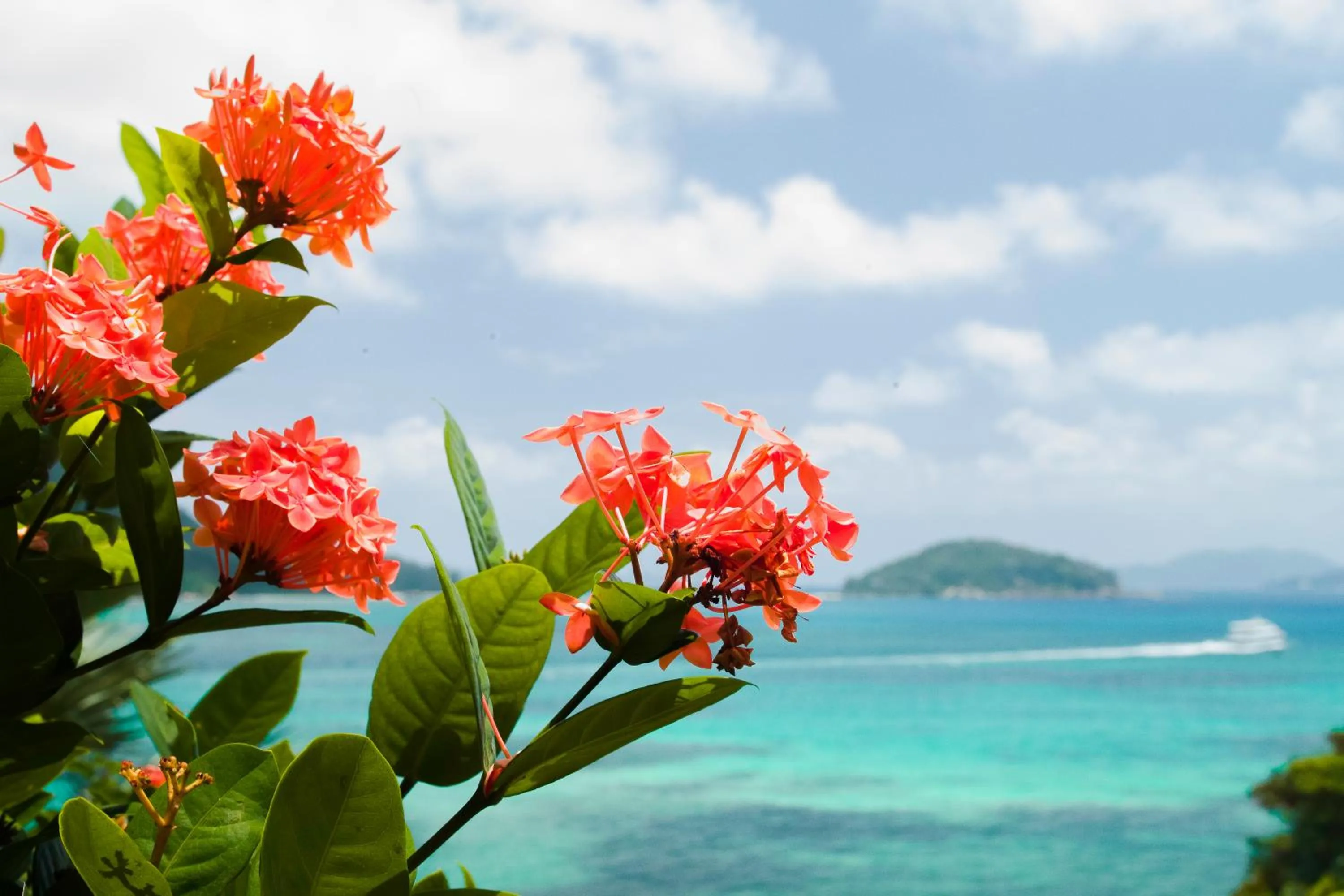 Natural landscape in Colibri Hotel