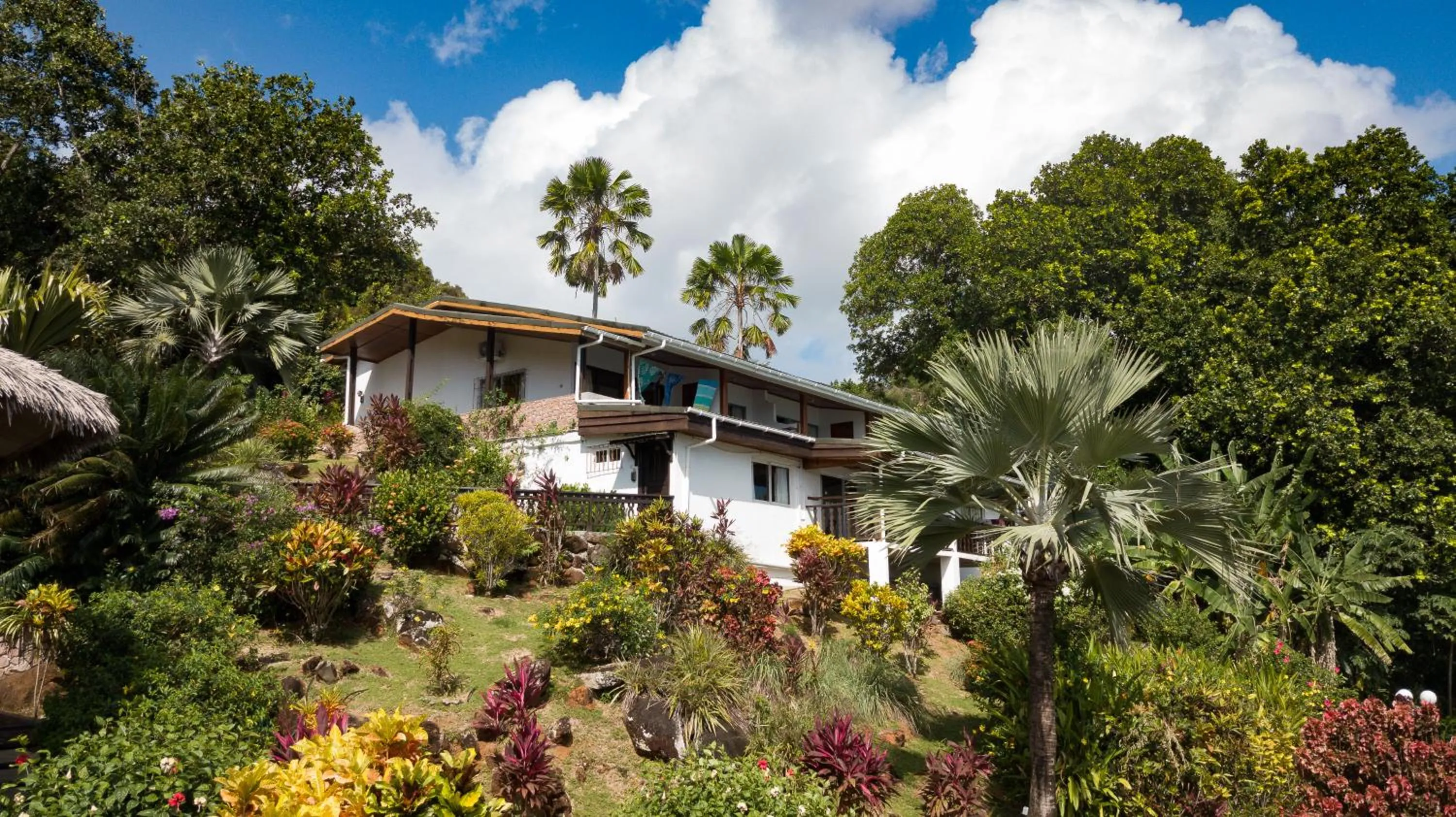 Property building in Colibri Hotel