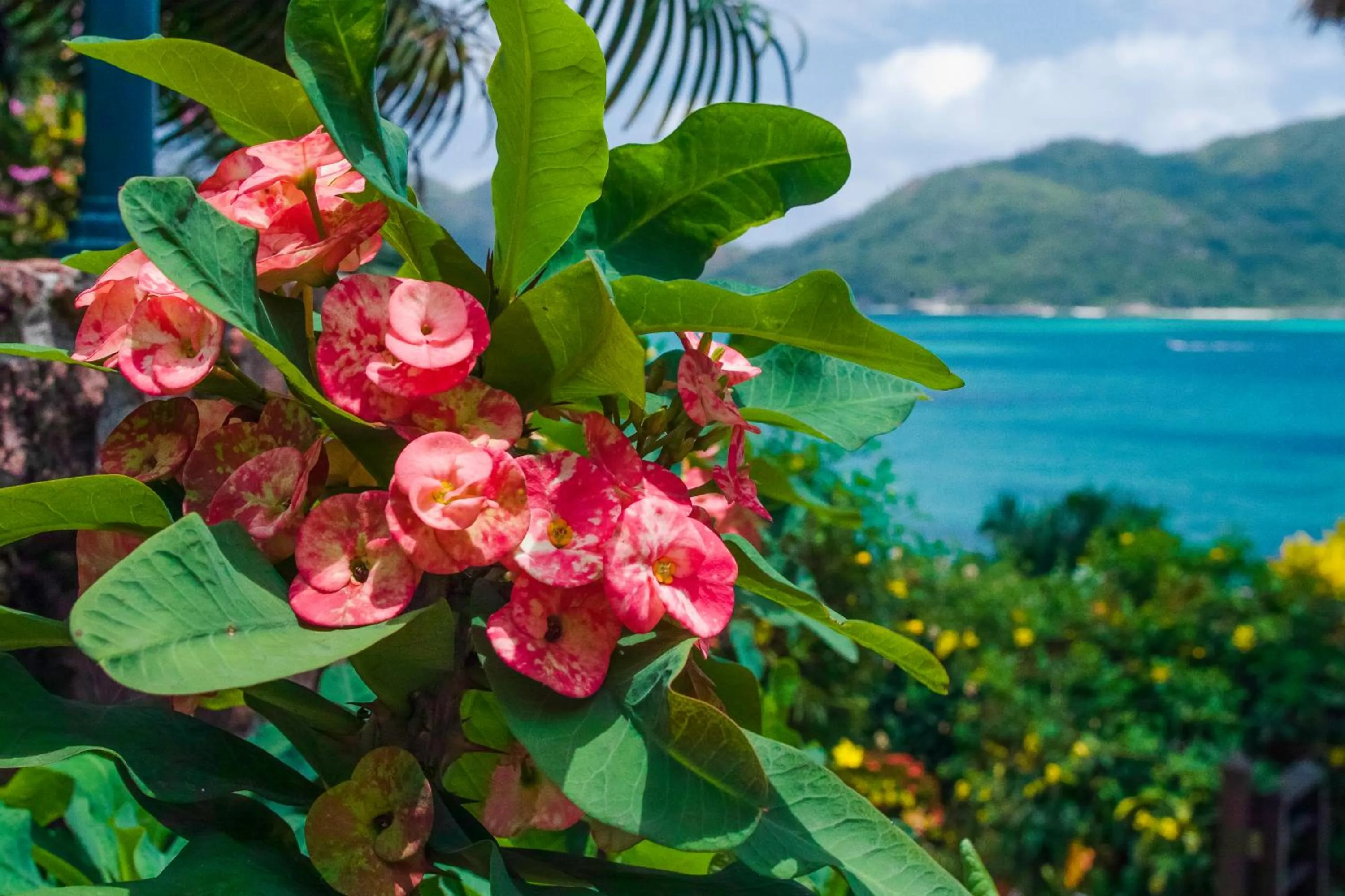 Natural landscape in Colibri Hotel