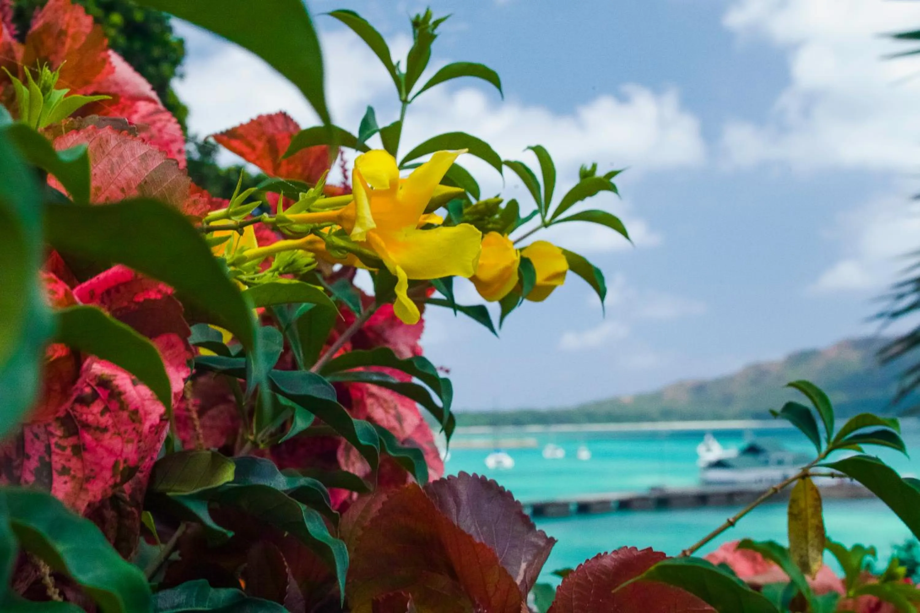 Natural landscape in Colibri Hotel