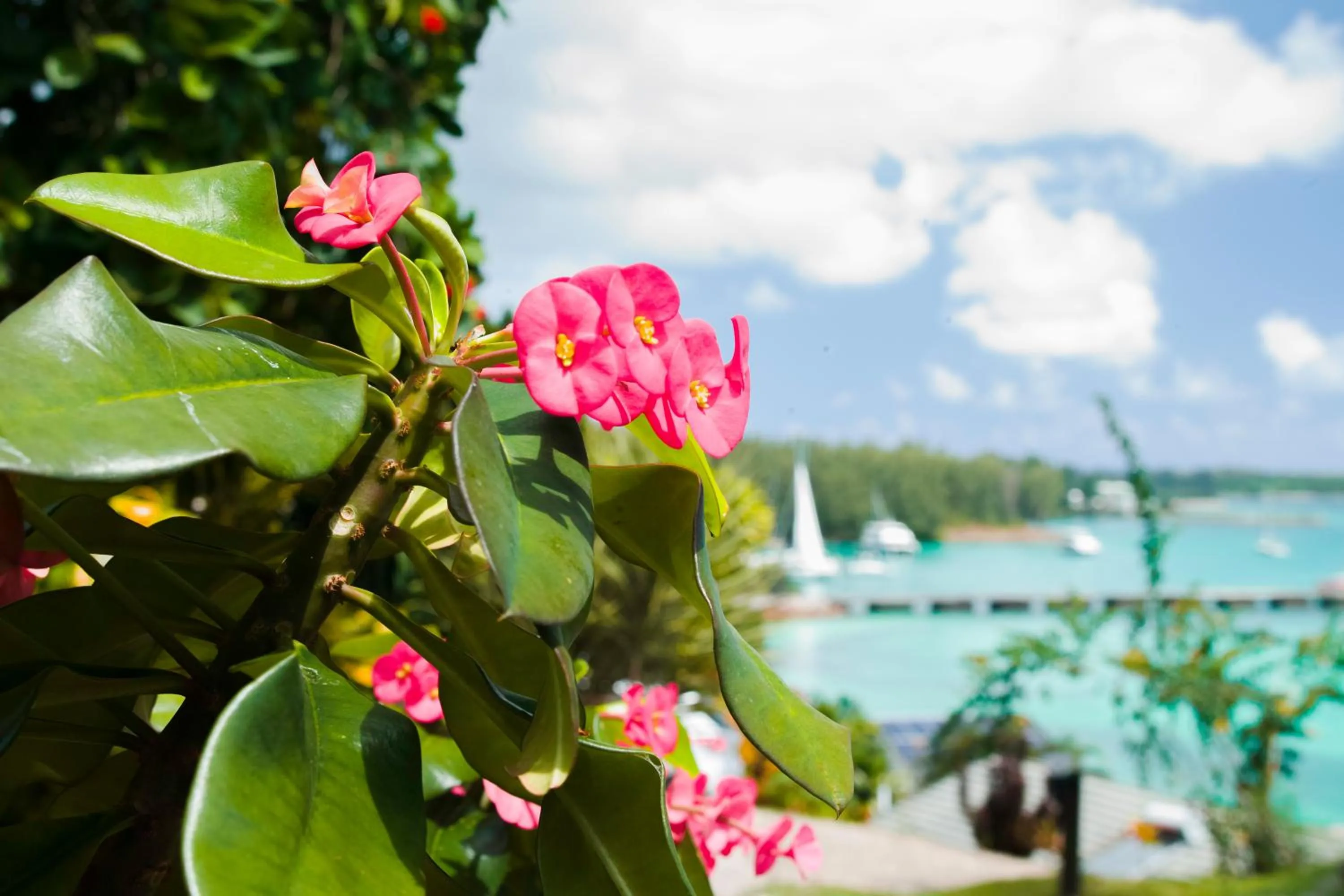 Natural landscape in Colibri Hotel