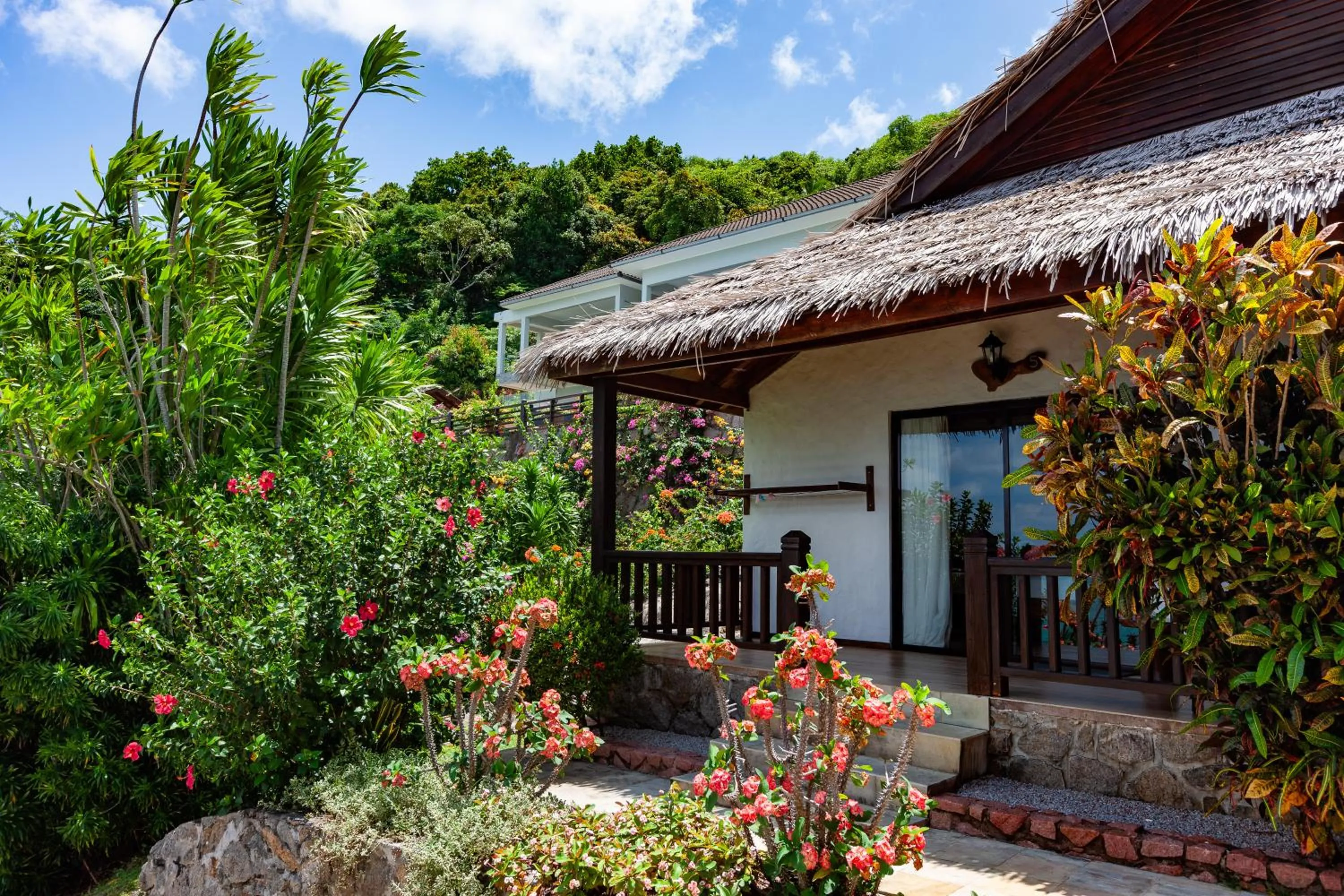 Balcony/Terrace in Colibri Hotel