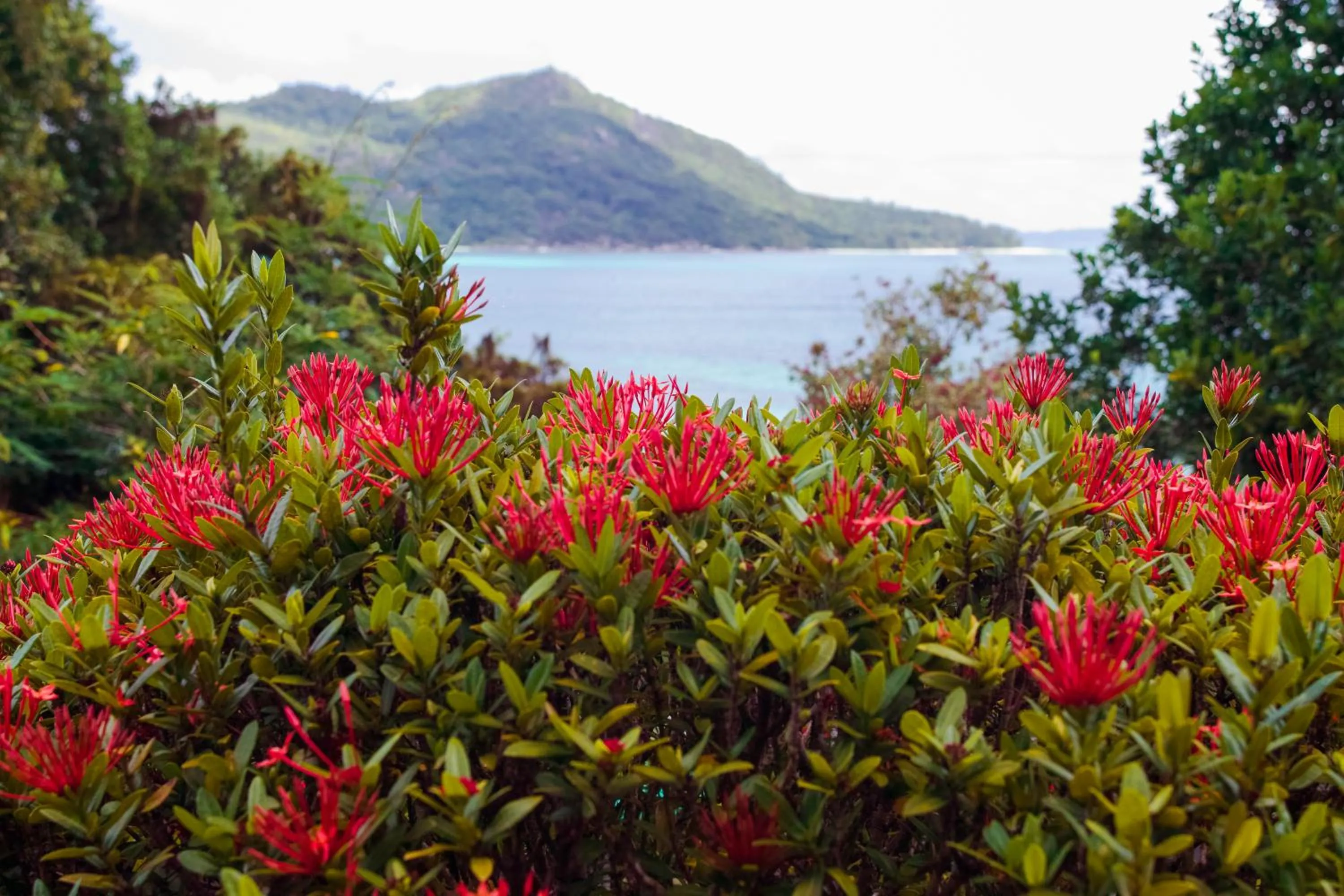 Natural landscape in Colibri Hotel