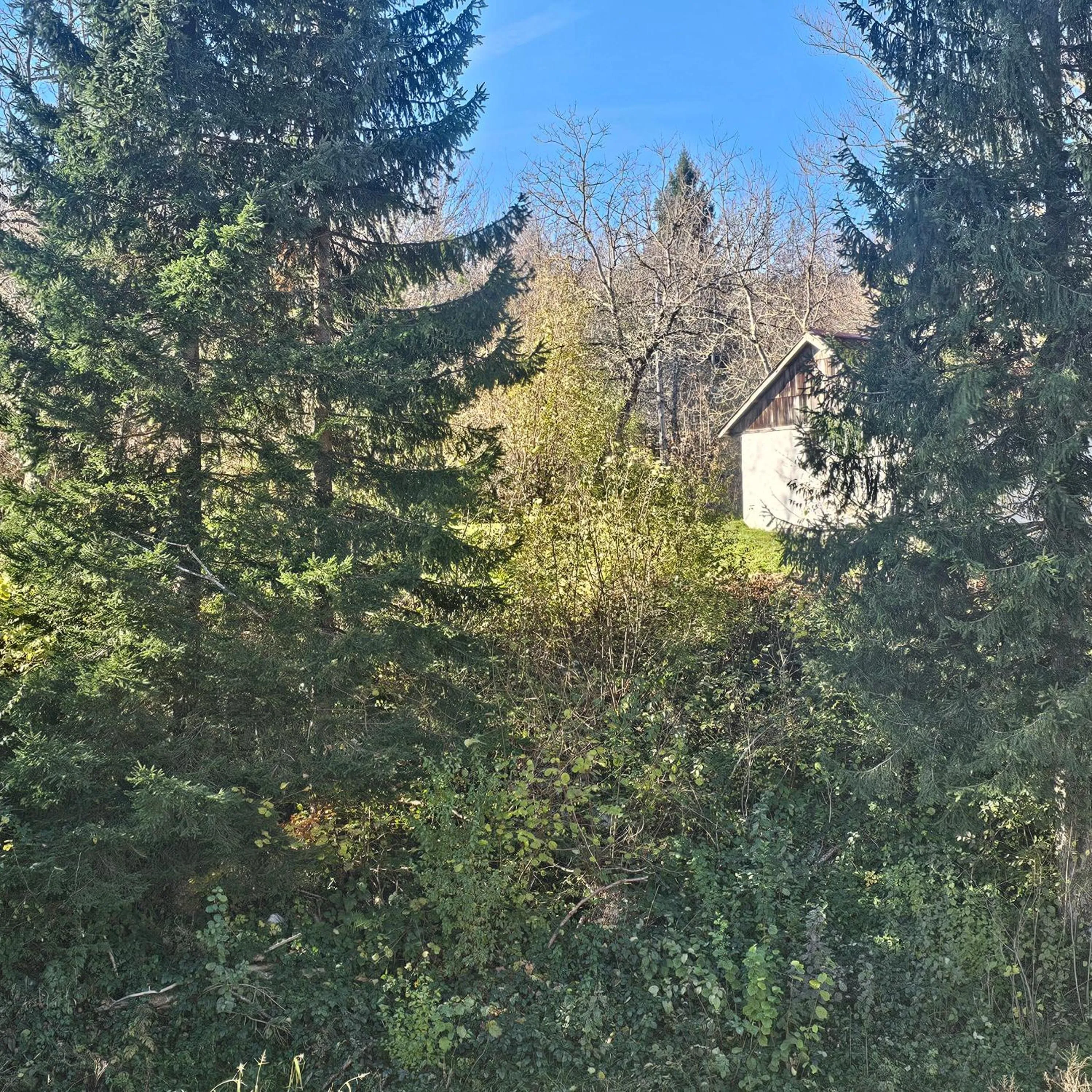 View (from property/room) in Plitvice Falls Cottage