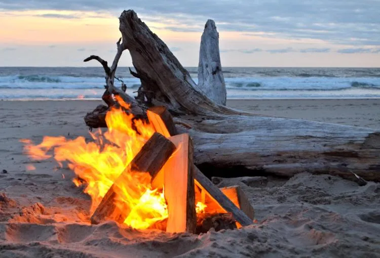 Beach in Driftwood Shores Resort