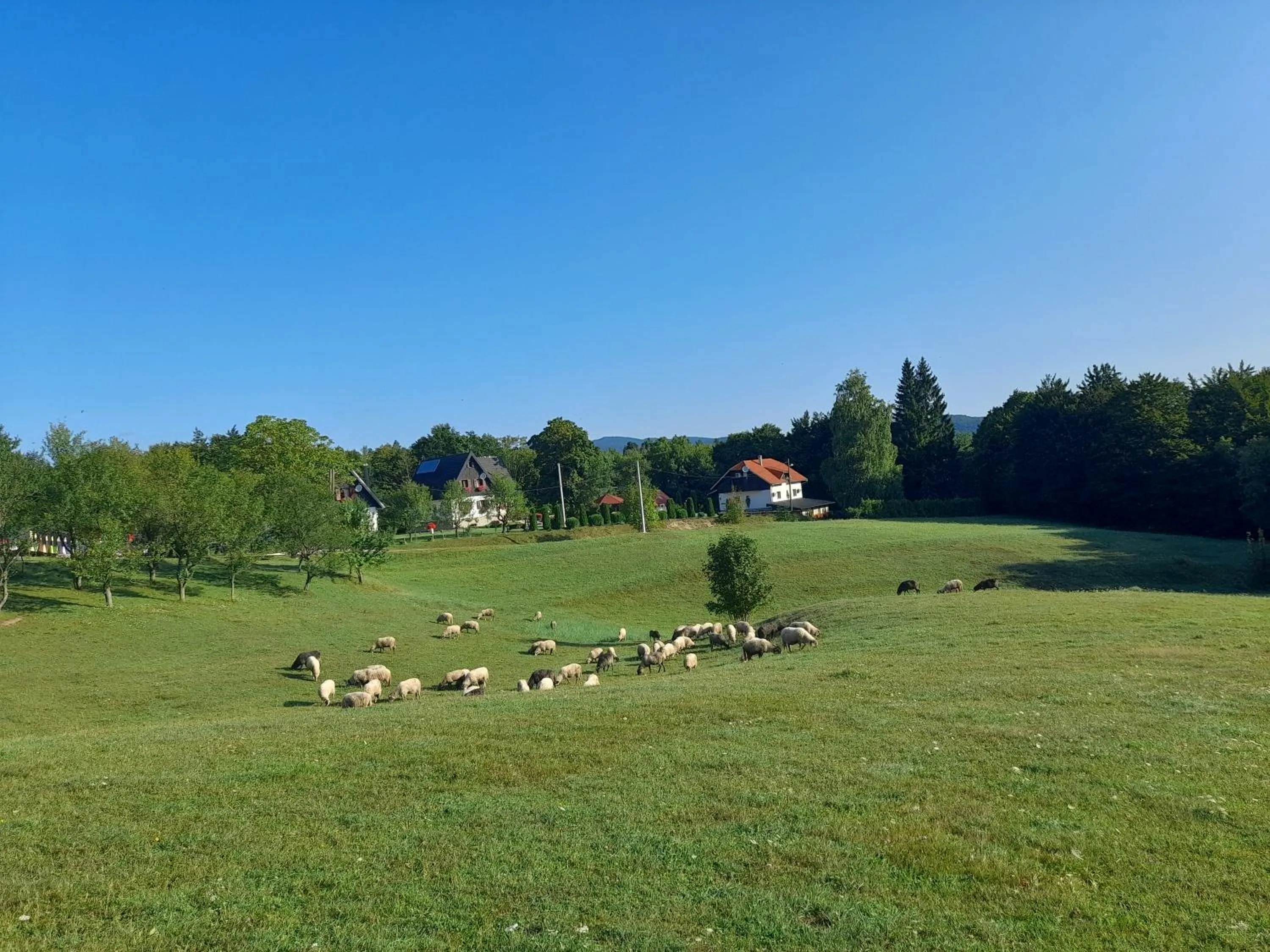 Property building in Pansion Breza