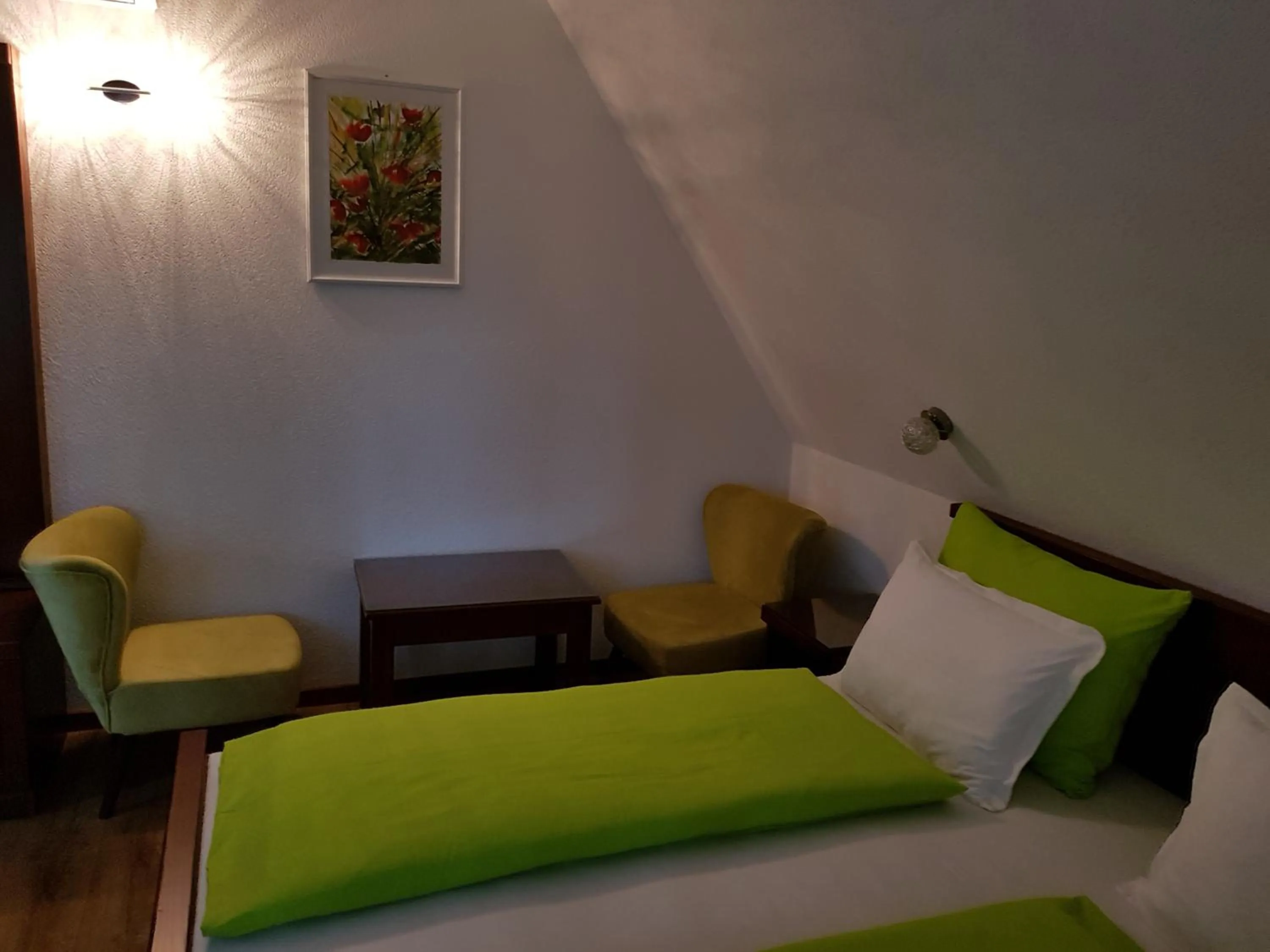 Bed in Pansion Breza