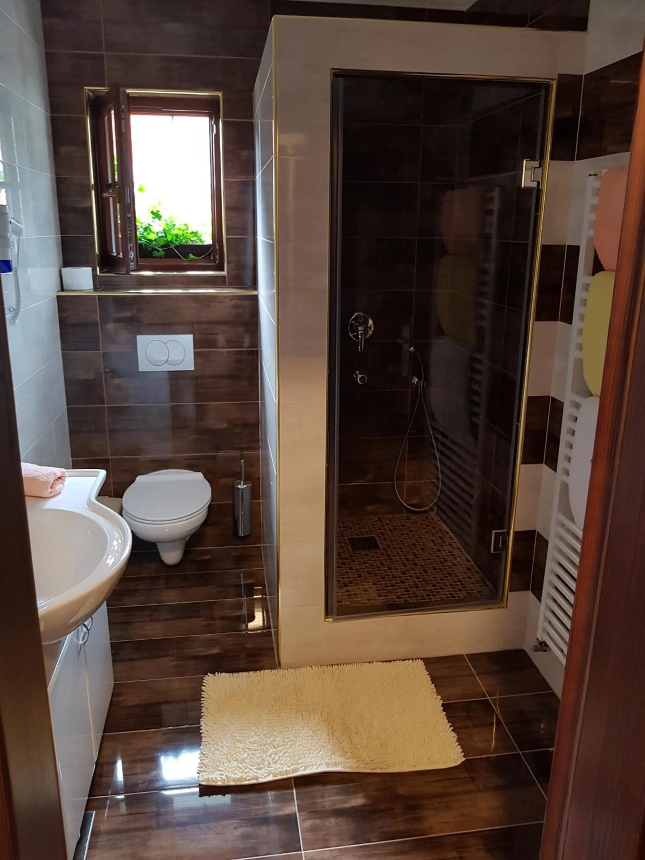 Toilet in Pansion Breza